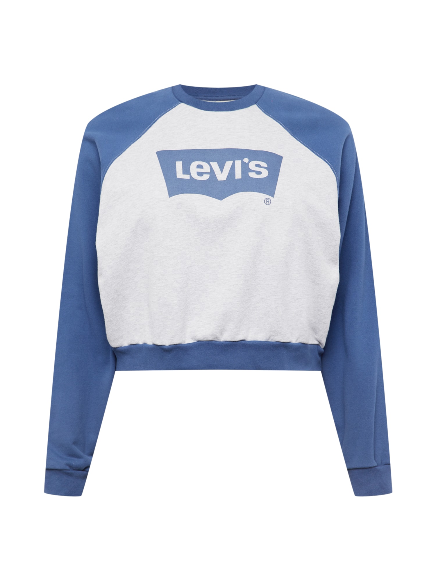 Levi's® Plus Sportisks džemperis zils / raibi pelēks