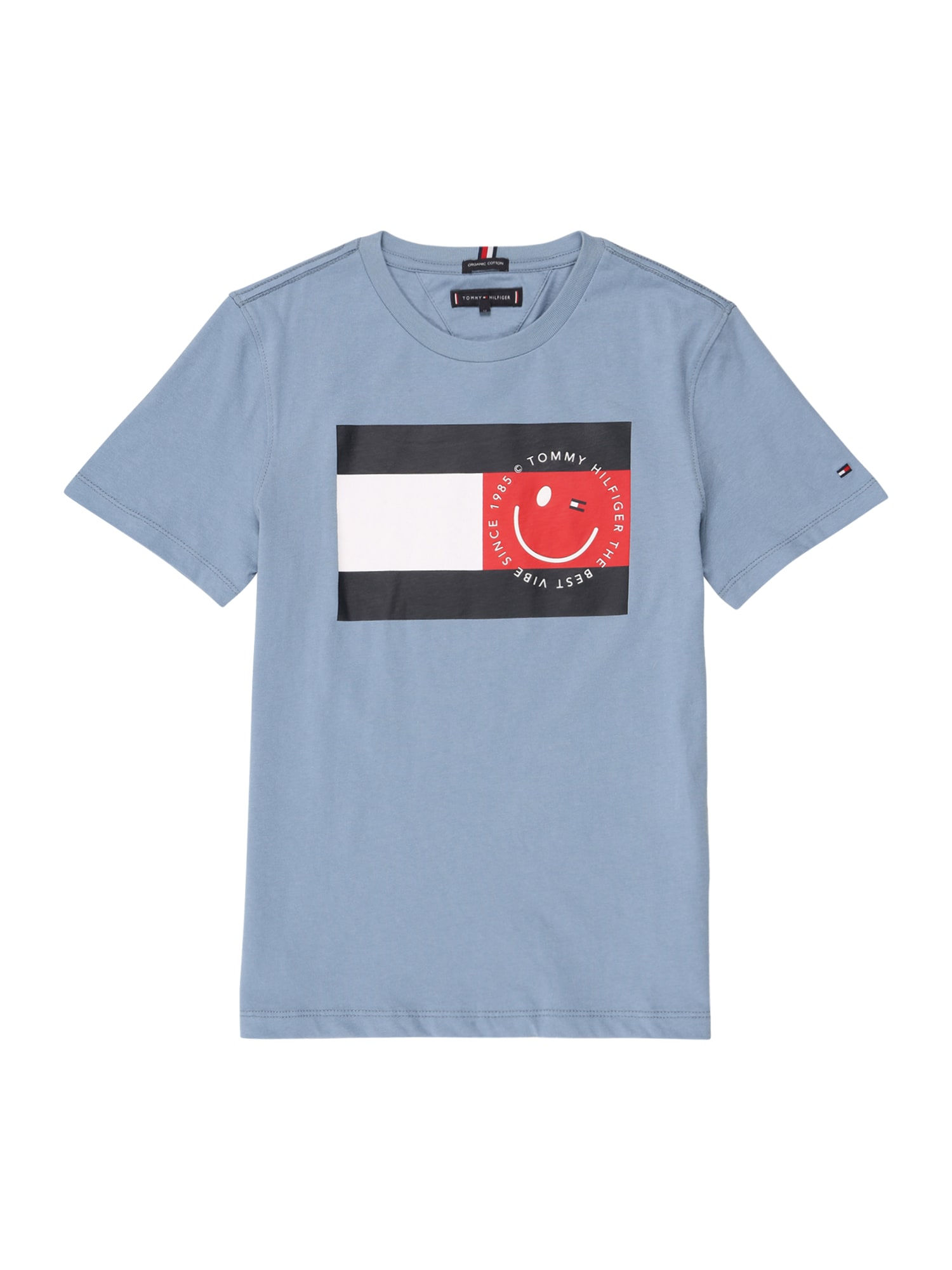 TOMMY HILFIGER Marškinėliai  mėlyna dūmų spalva / tamsiai mėlyna / balta / raudona