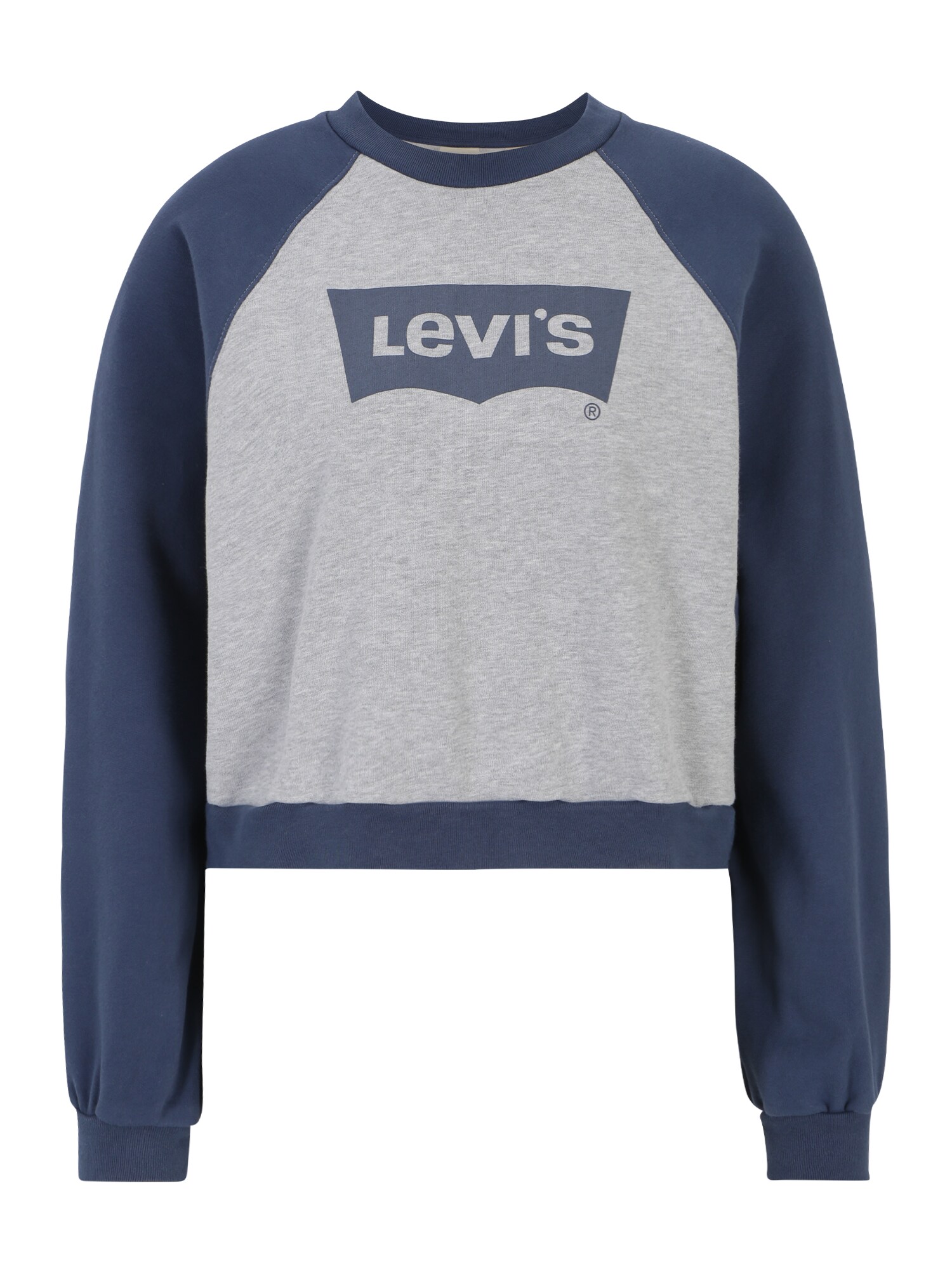 LEVI'S ® Tréning póló 'Vintage Raglan Crewneck Sweatshirt'  kék / szürke akciós termékkép 1