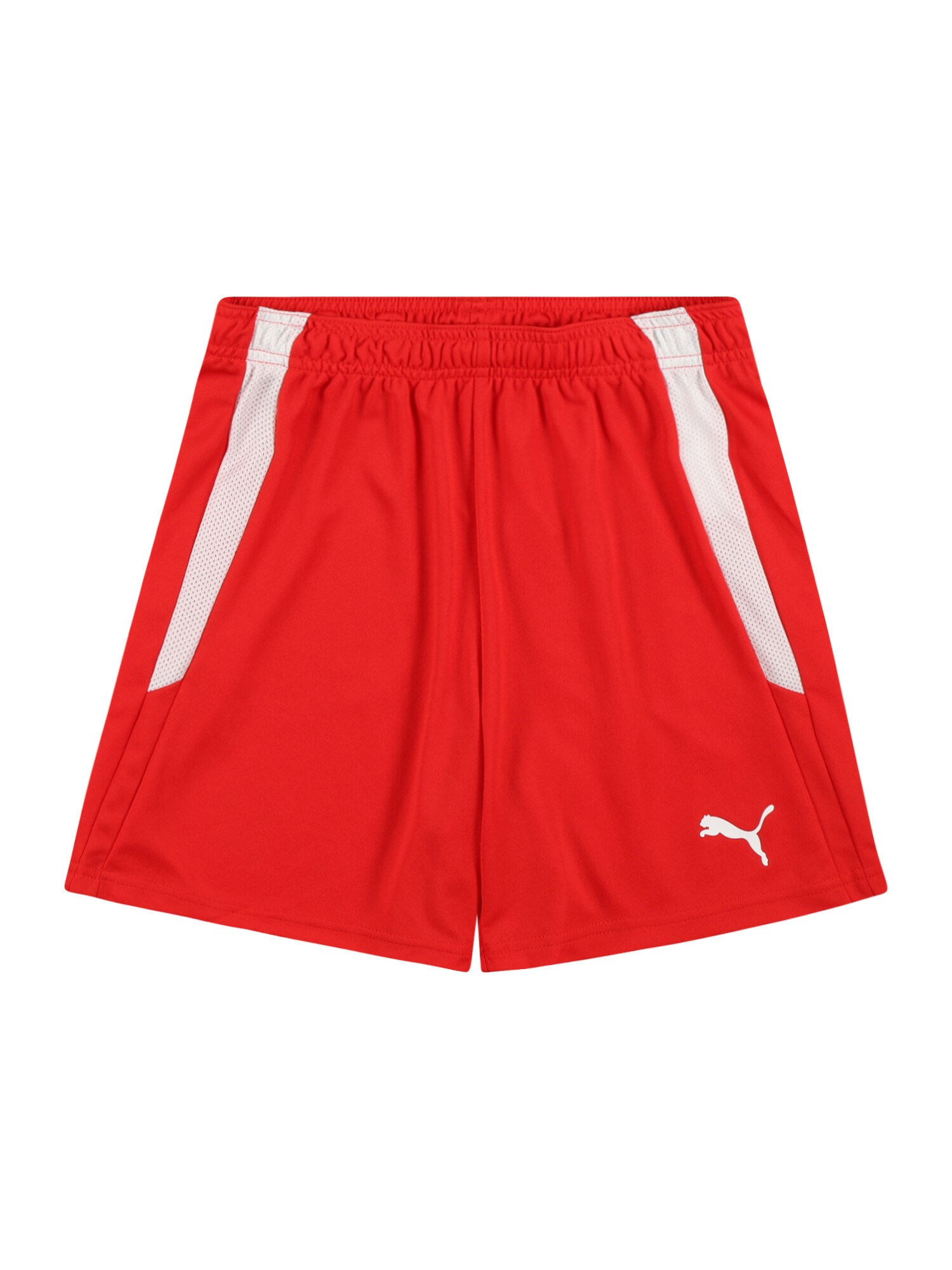 PUMA Pantaloni sport TeamLiga  roșu / alb