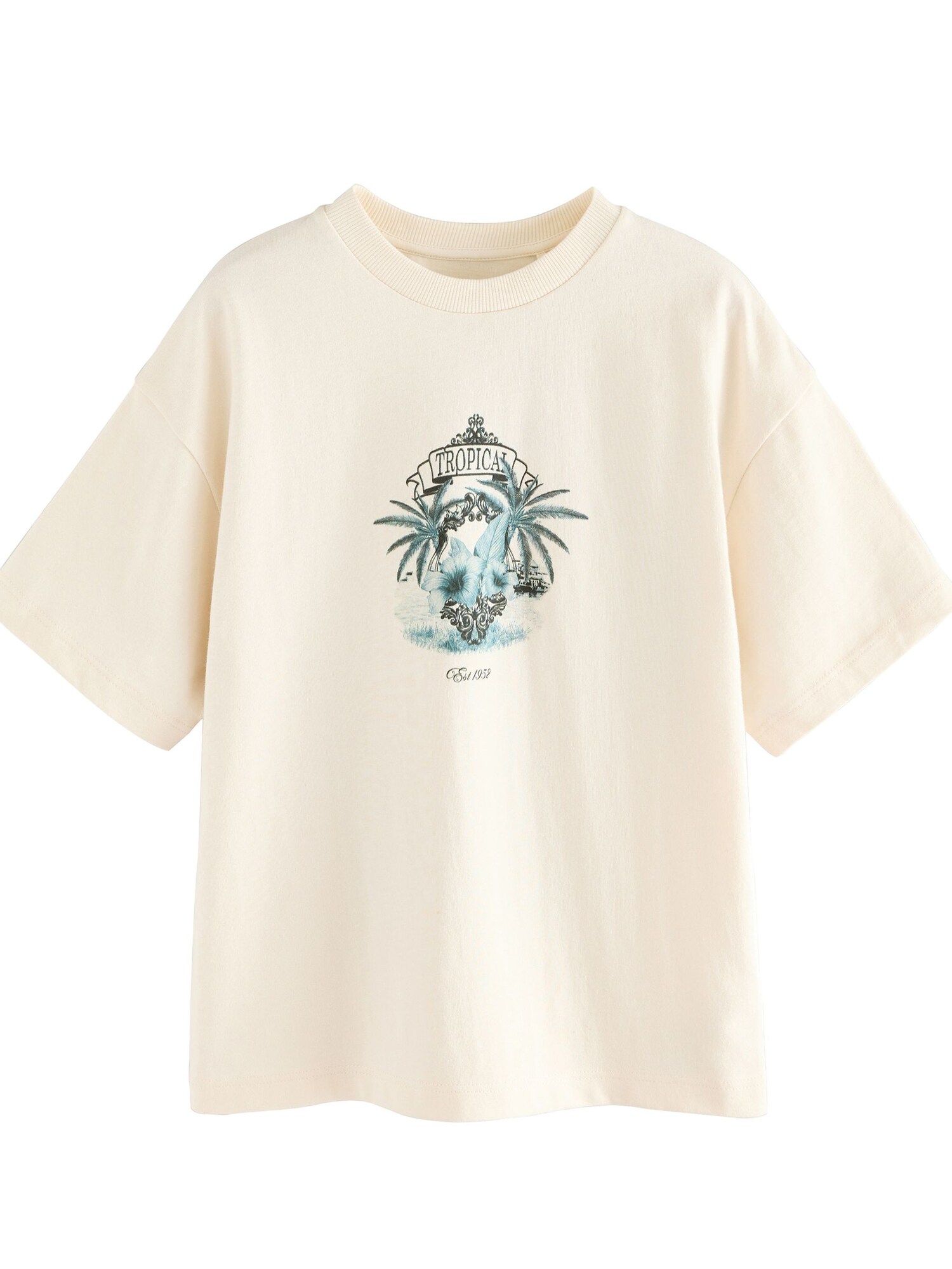 Next Tricou  ecru / albastru marin / albastru deschis / negru