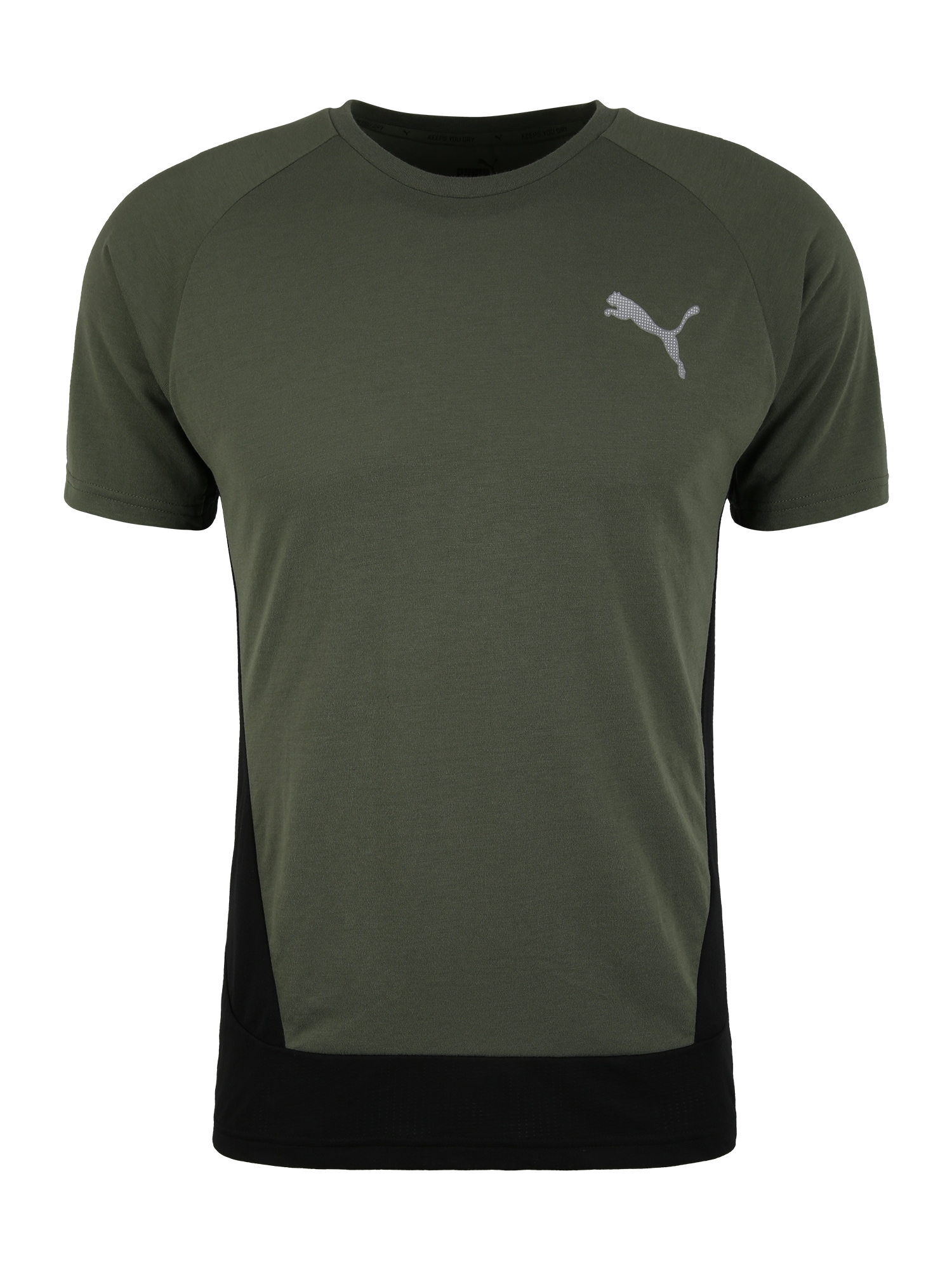 PUMA Sportiniai marškinėliai 'EVOSTRIPE'  žalia / juoda