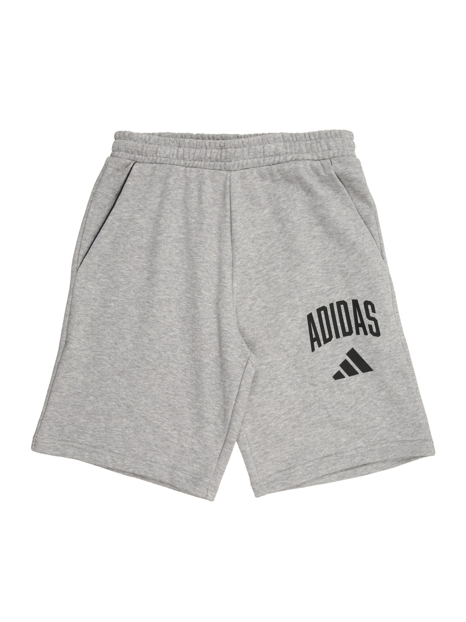 ADIDAS SPORTSWEAR Pantaloni sport 'SEASONALS COLLEGIATE'  gri amestecat / negru