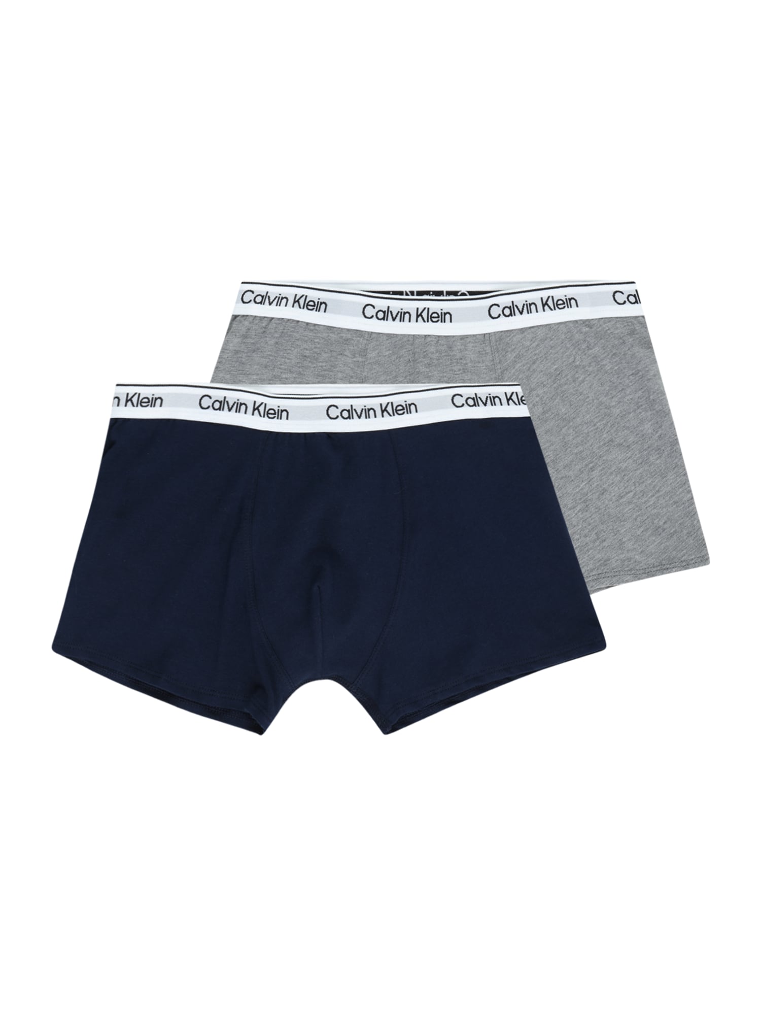 Calvin Klein Underwear Apatinės kelnaitės tamsiai mėlyna / margai pilka / balta
