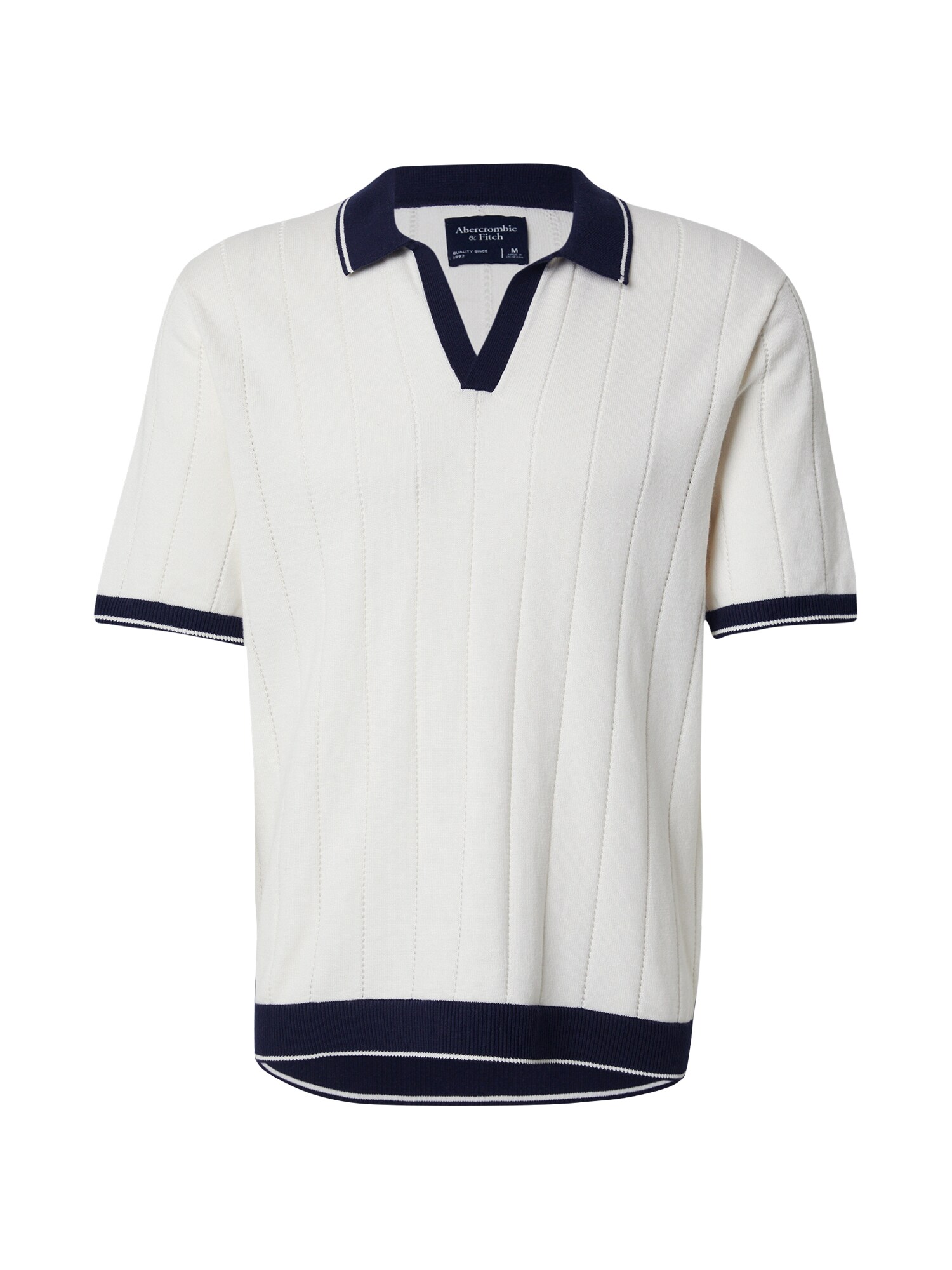 Abercrombie & Fitch Pulover  bleumarin / alb