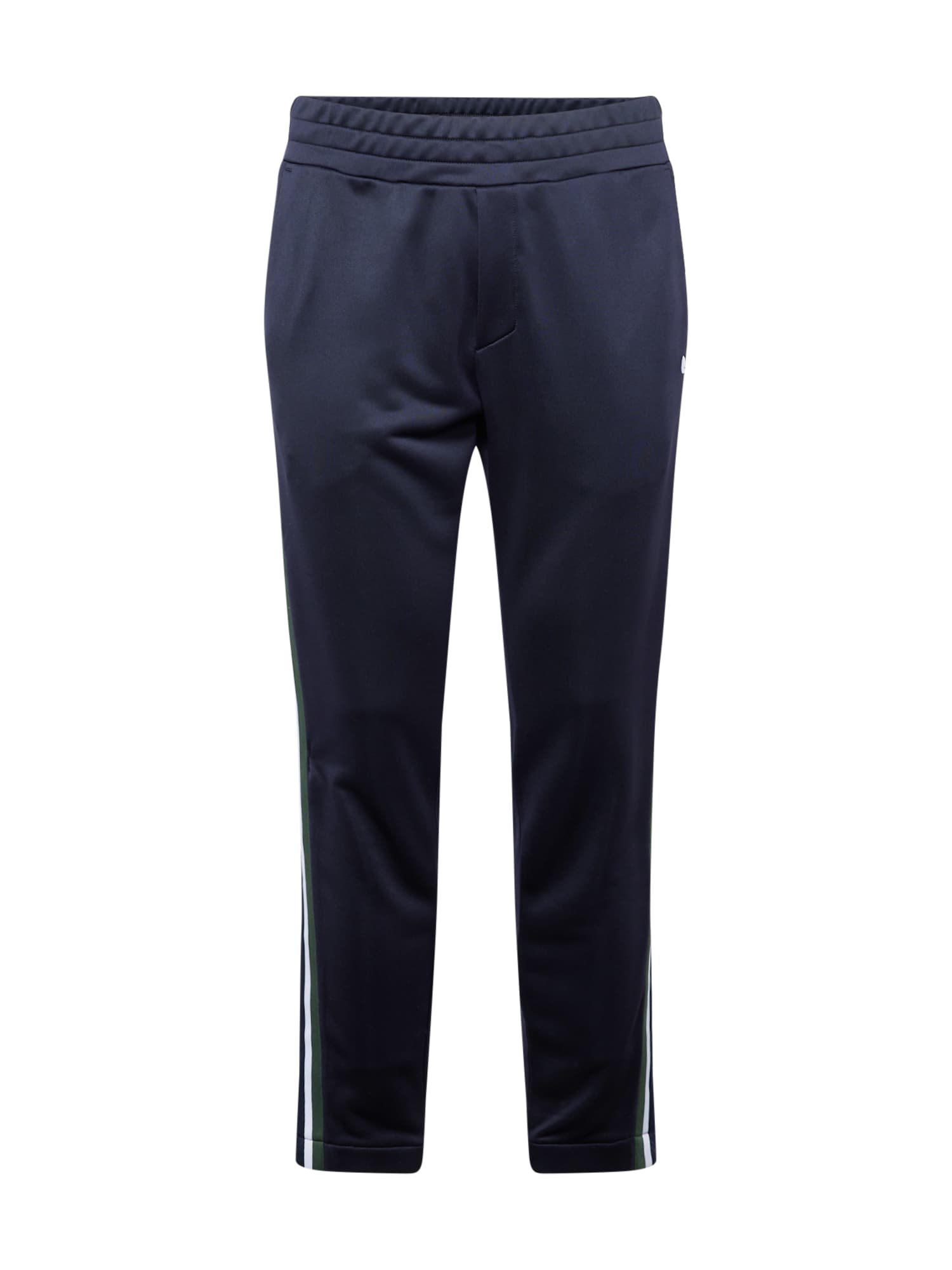 BJÖRN BORG Sportske hlače 'ACE'  morsko plava / kraljevski zelena / bijela