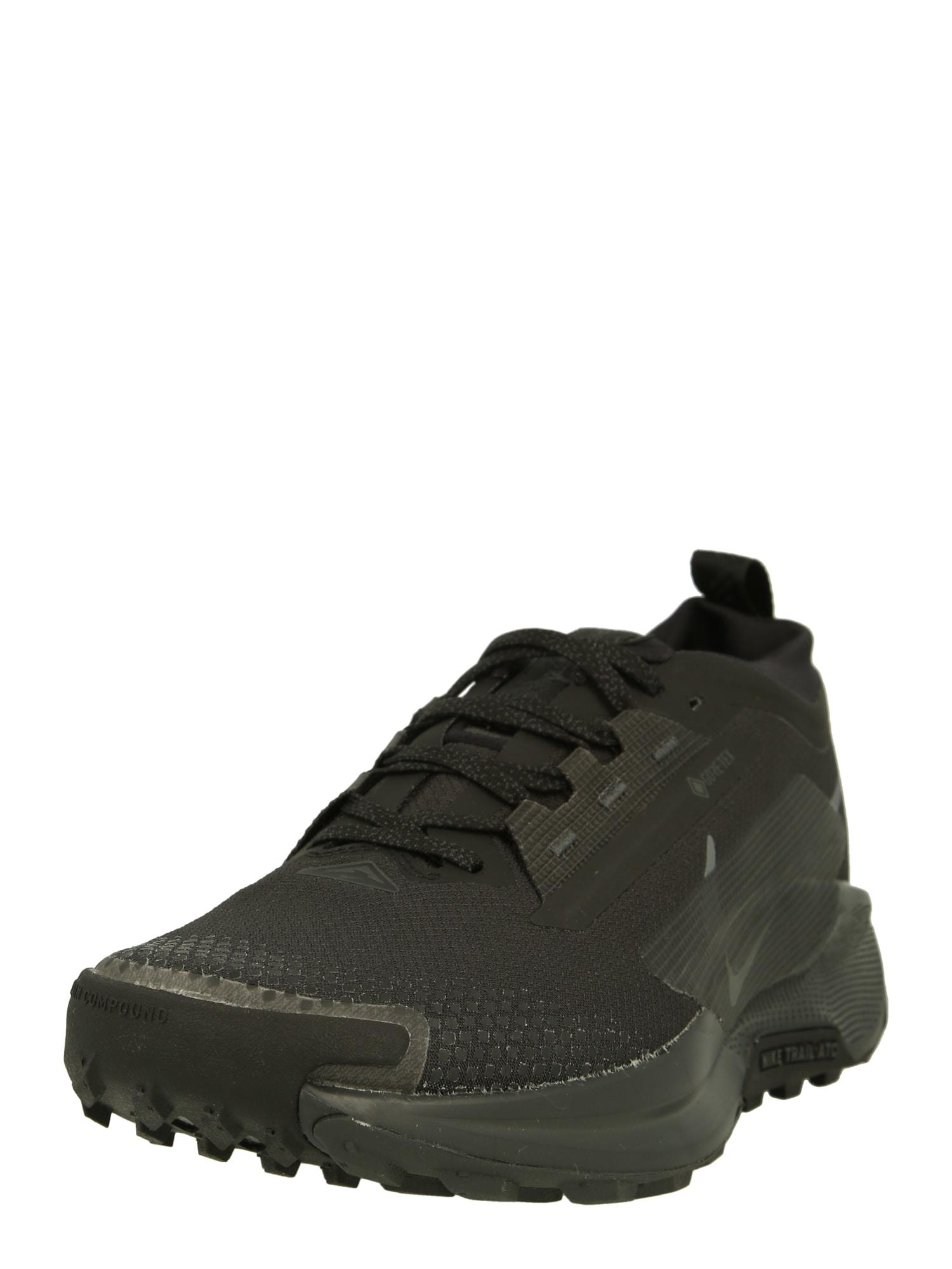 NIKE Sneaker de alergat Pegasus Trail 5  negru