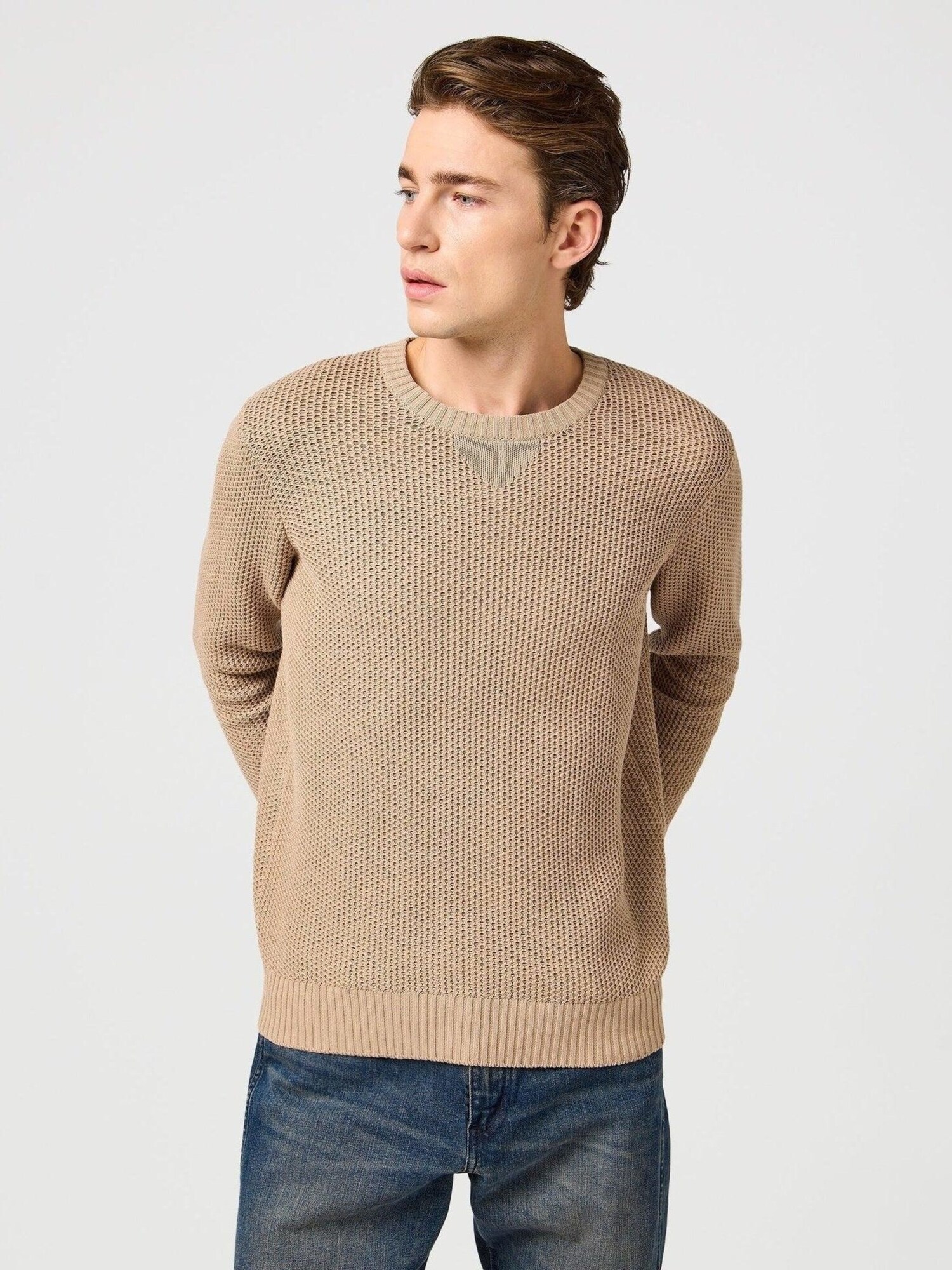 WRANGLER Jersey 'CREWNECK TIMBERWOLF' beige – imagen 2