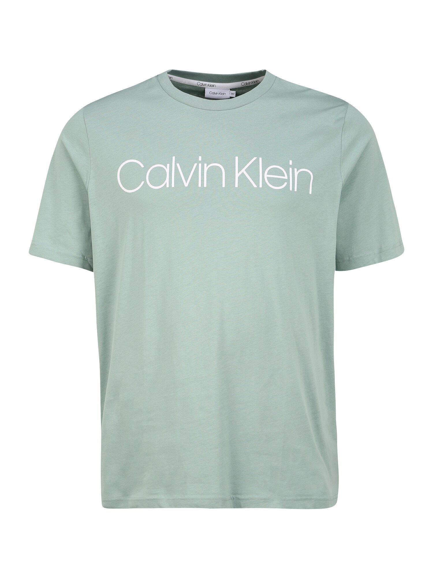 Calvin Klein Marškinėliai  pastelinė žalia / balta
