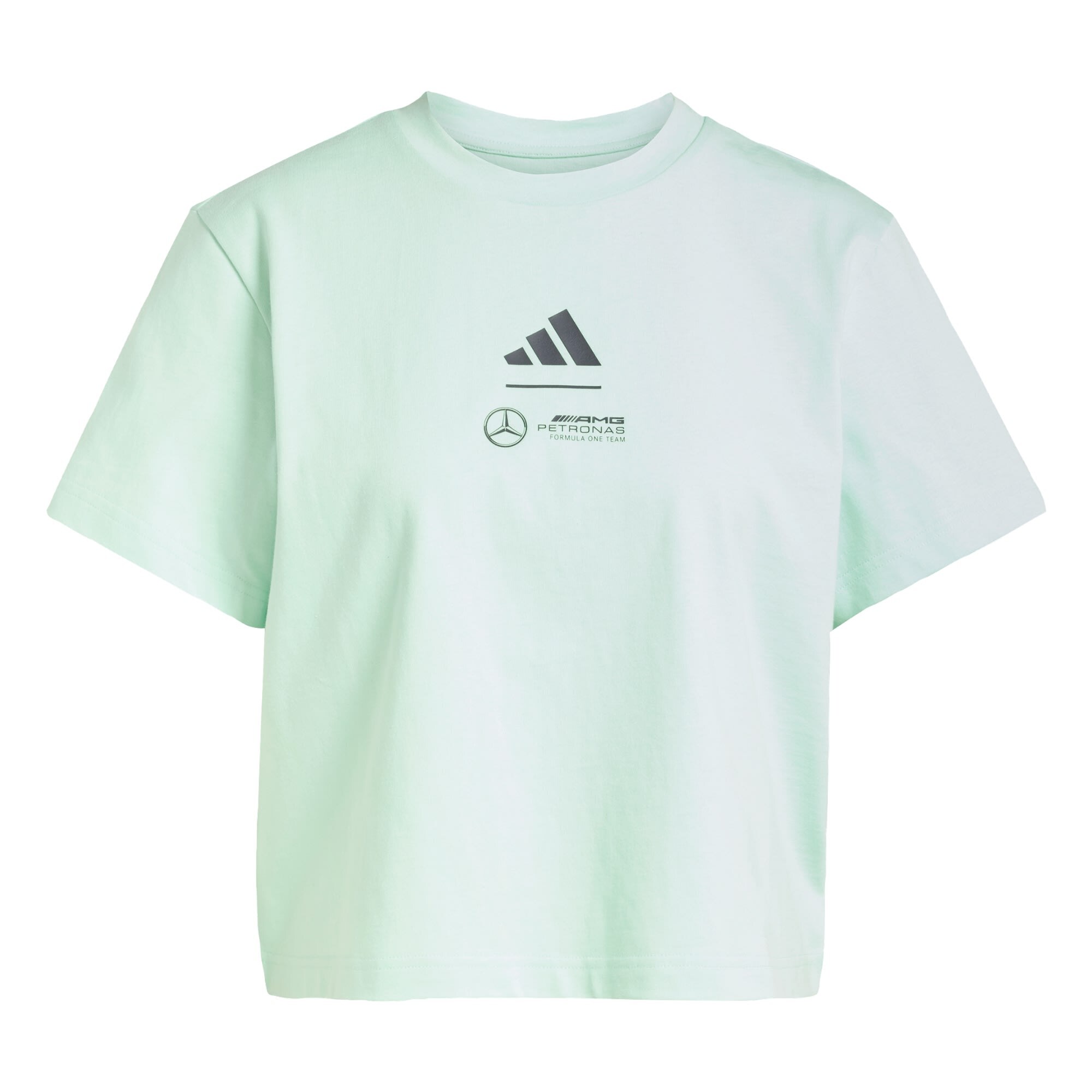ADIDAS PERFORMANCE Camiseta funcional 'Mercedes - AMG Petronas Formula One Team'  gris / menta