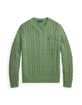 Polo Ralph Lauren Jersey 'DRIVER'  verde