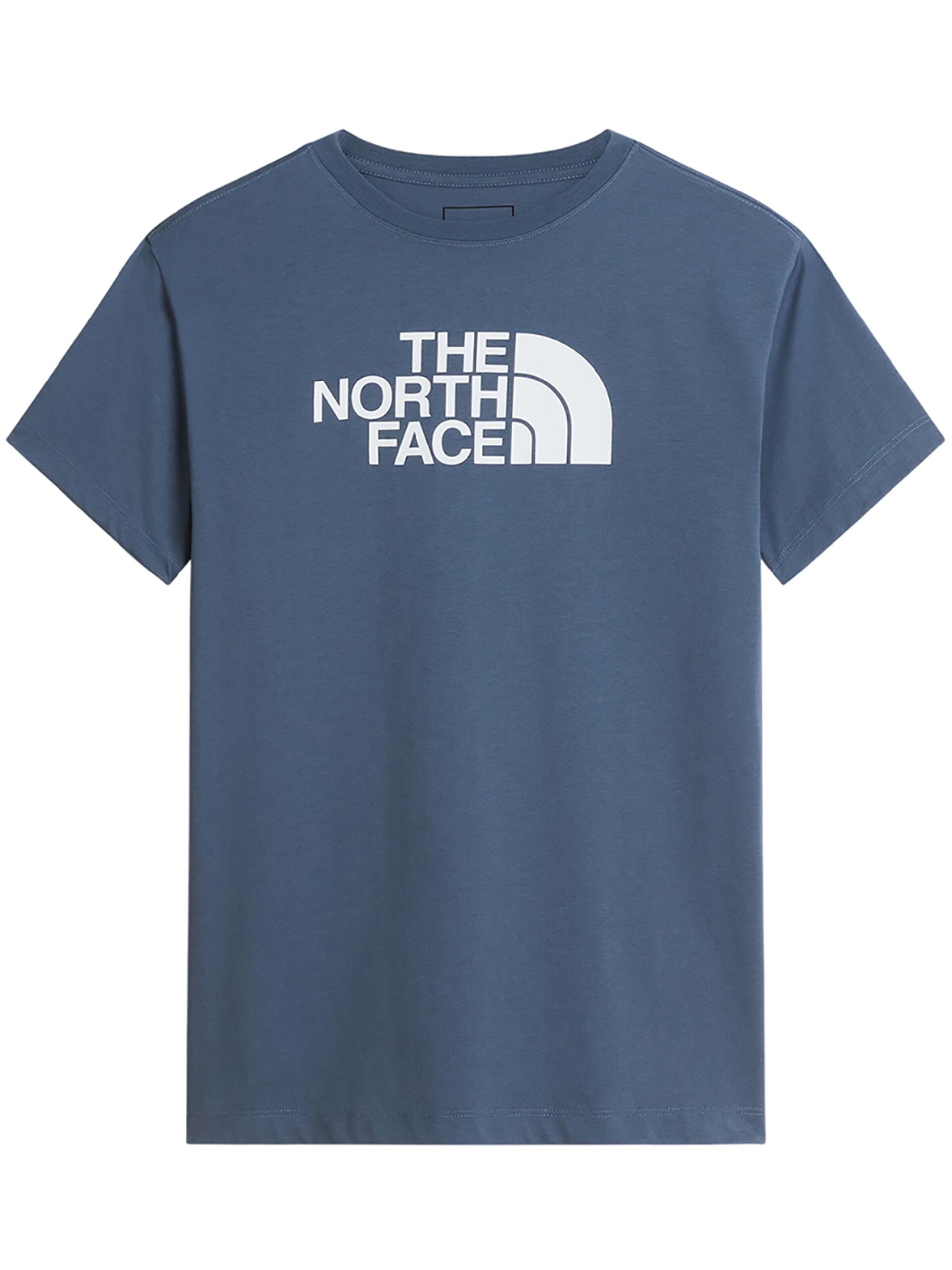 THE NORTH FACE T-shirt 'EVOLUTION HALF DOME' herr