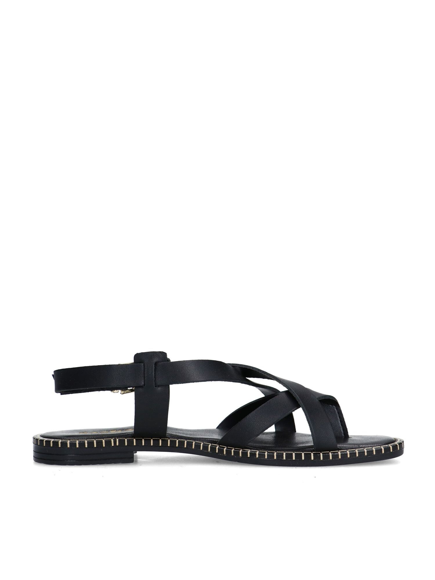 Thumbnail - SACHA Zehentrenner