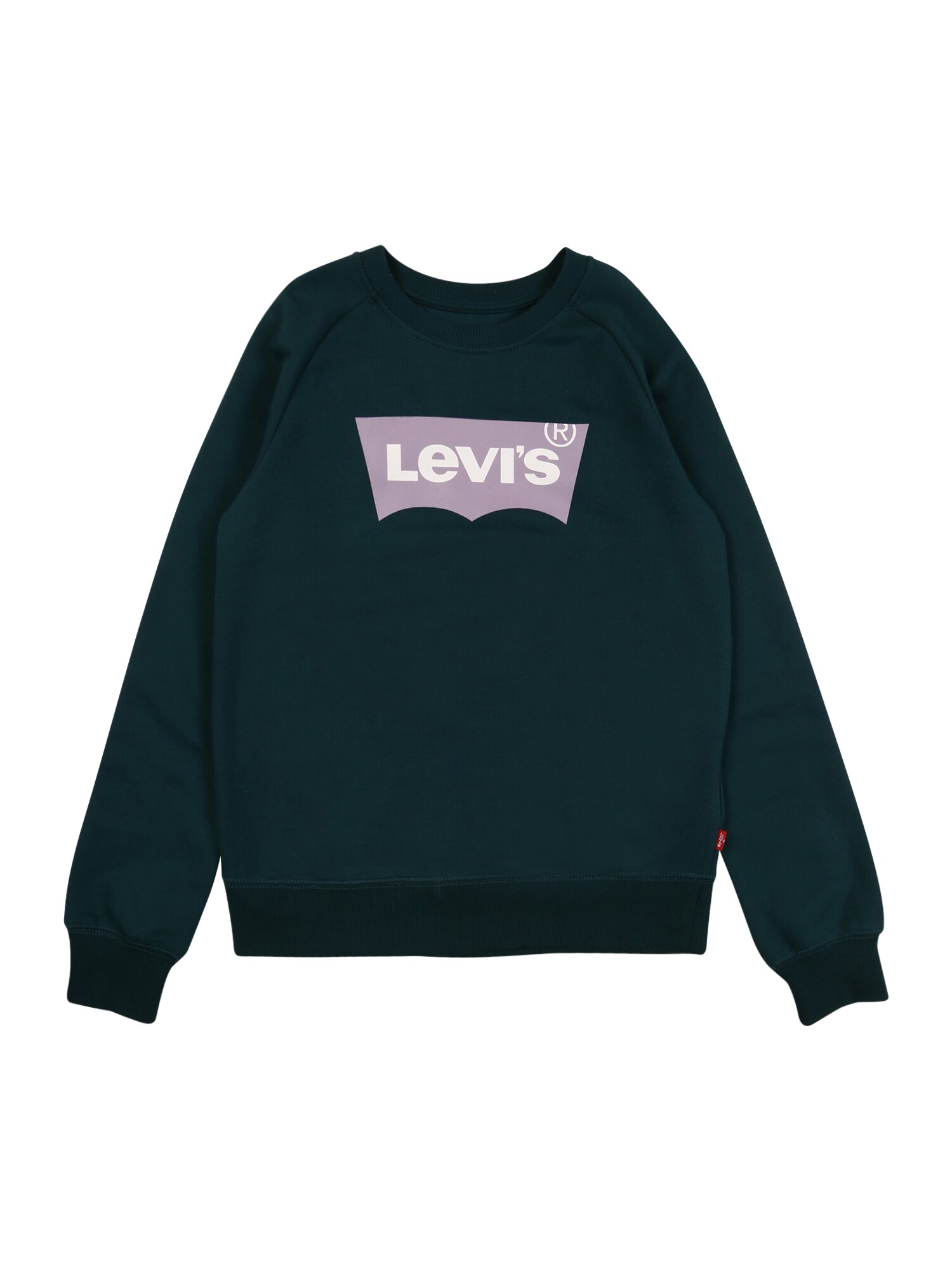 LEVI'S Megztinis be užsegimo  benzino spalva / šviesiai violetinė / balta