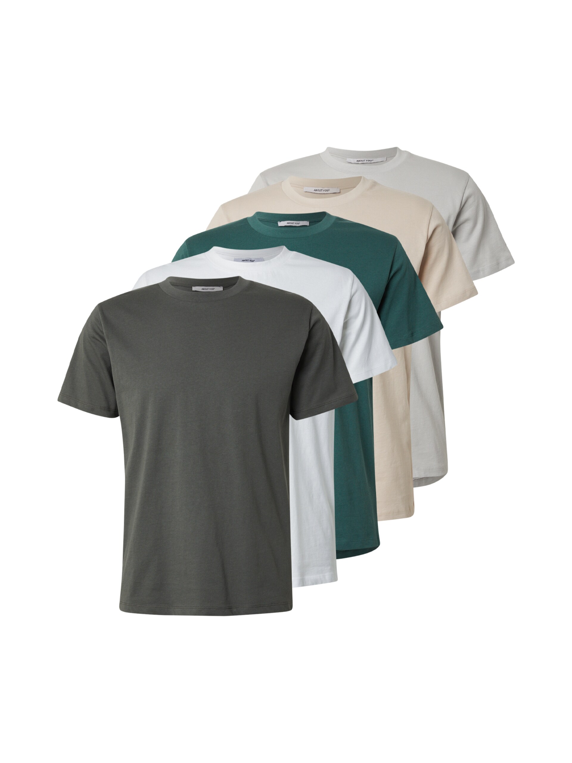 ABOUT YOU T-shirt 'Peter' grön / ljusgrön herr