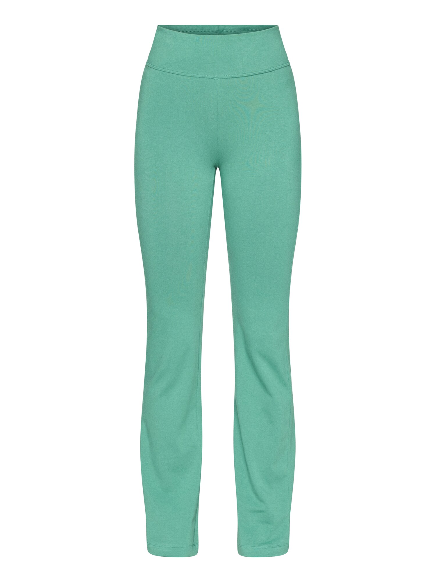 Champion Authentic Athletic Apparel Pantaloni sport  verde