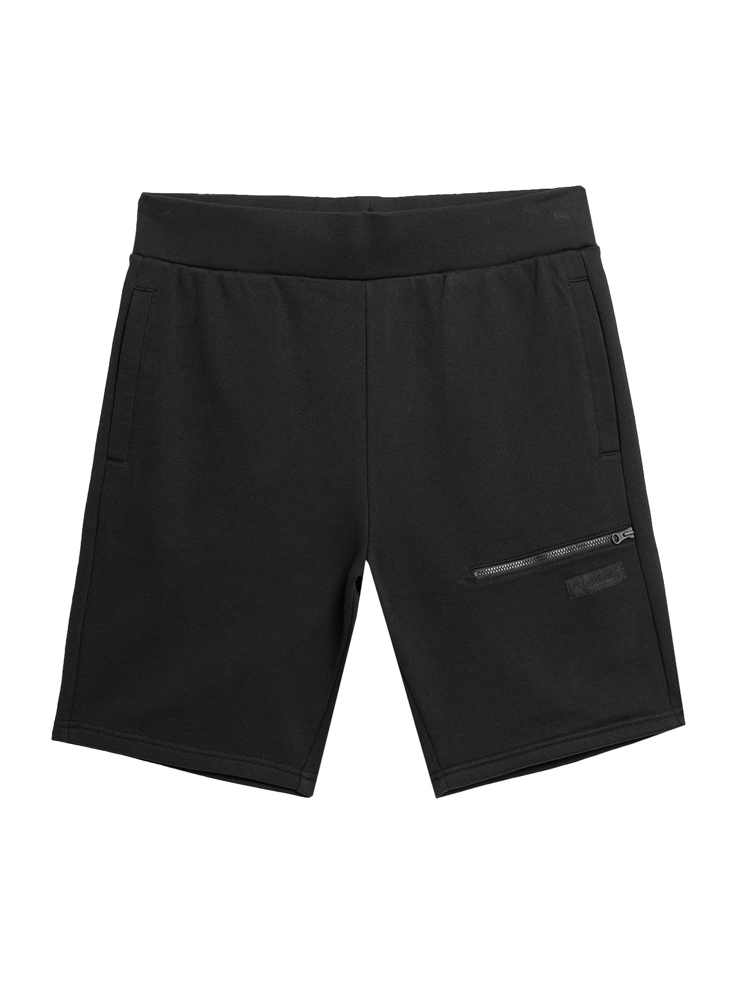 4F Pantaloni sport  negru