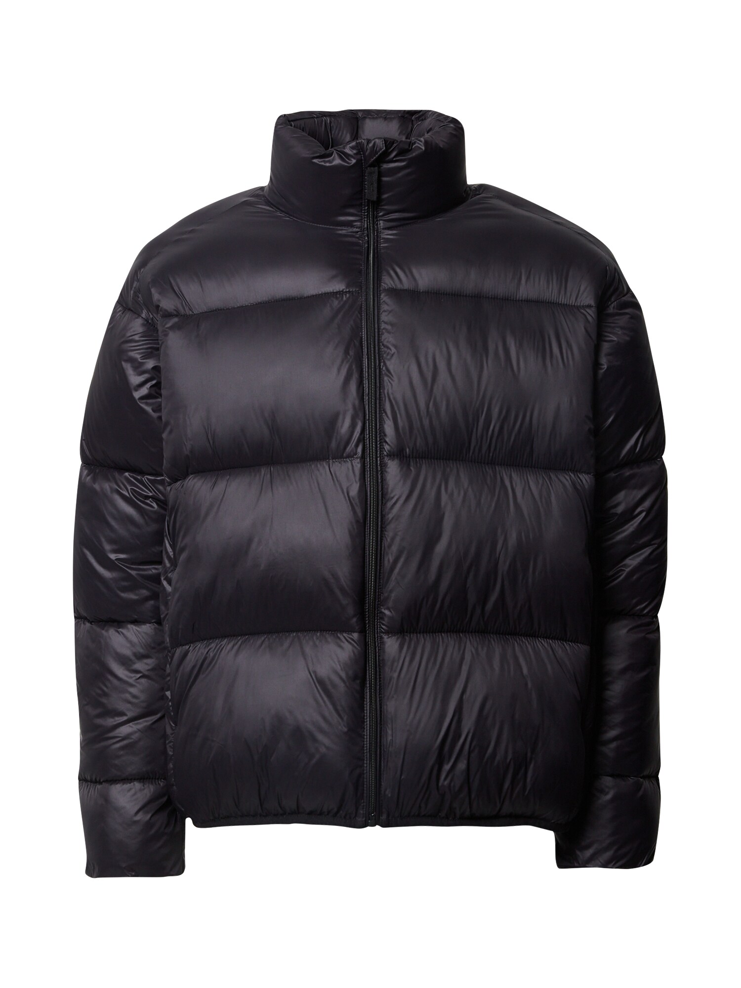 DAN FOX APPAREL Žieminė striukė 'Peter'  juoda