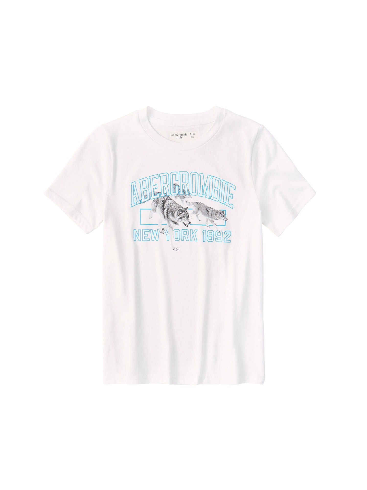 Abercrombie & Fitch Marškinėliai  balta / šviesiai mėlyna / tamsiai pilka