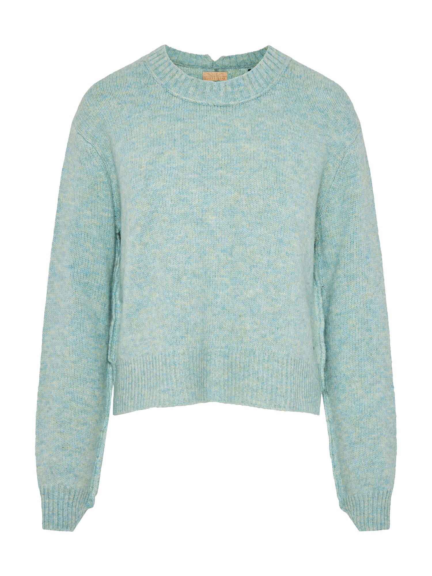 Funky Buddha Pulover  albastru pastel / verde pastel