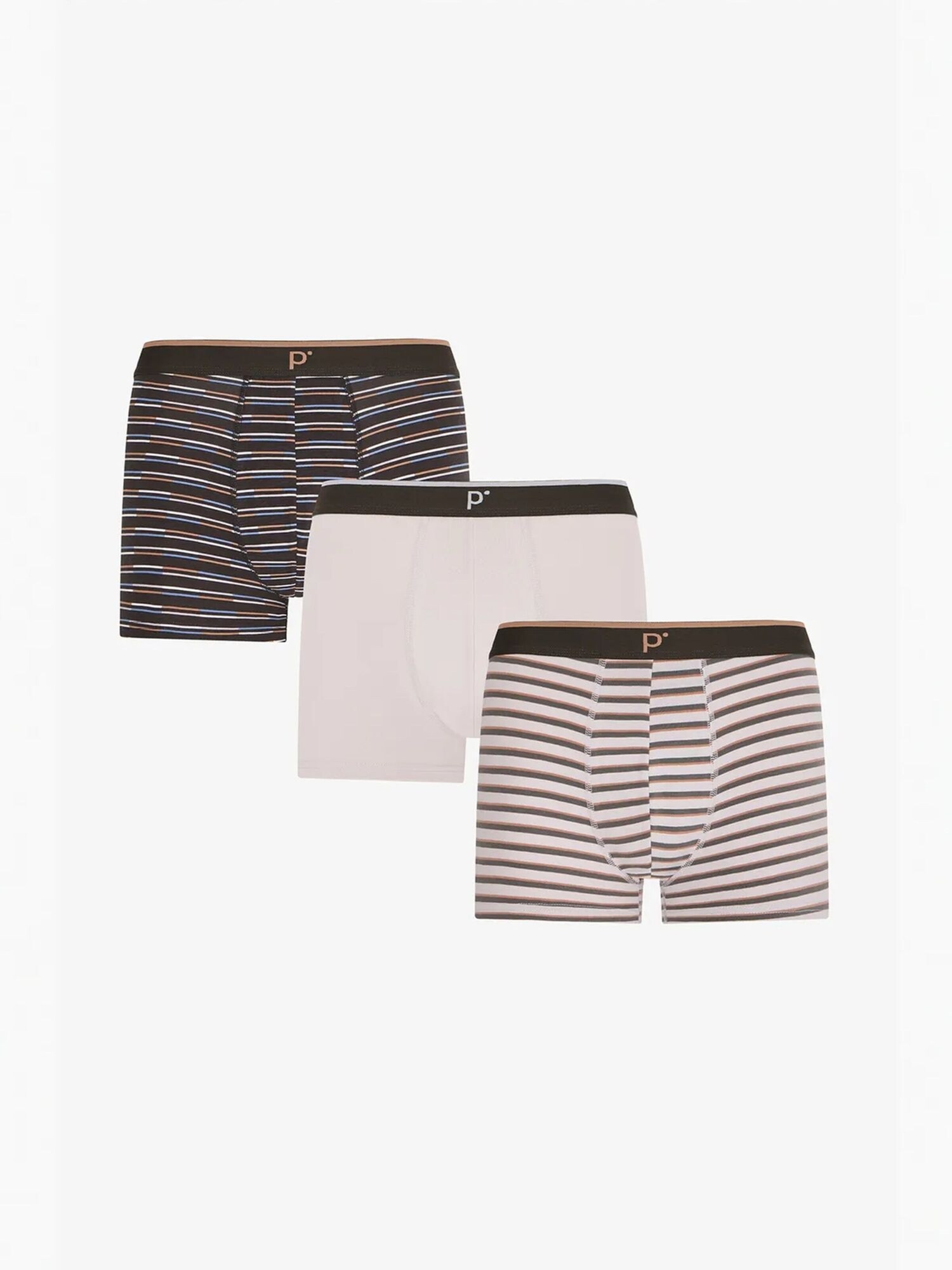 Penti Bokserice 'PENTI Herren Tone Boxershorts mit Streifen' miks boja
