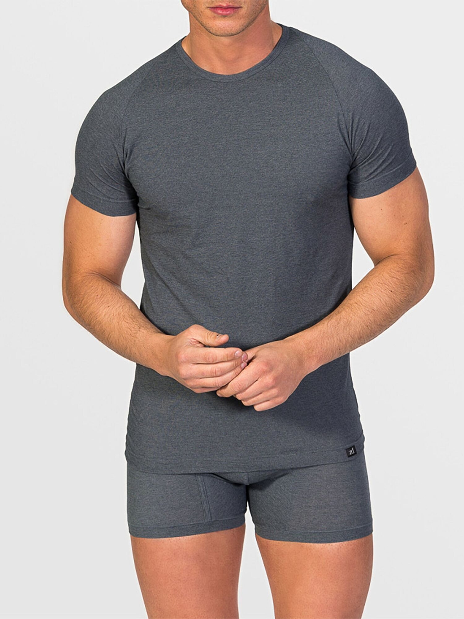 zd ZERO DEFECTS Maglietta intima 'Crew-neck T-shirt Egiptian cotton'  grigio scuro