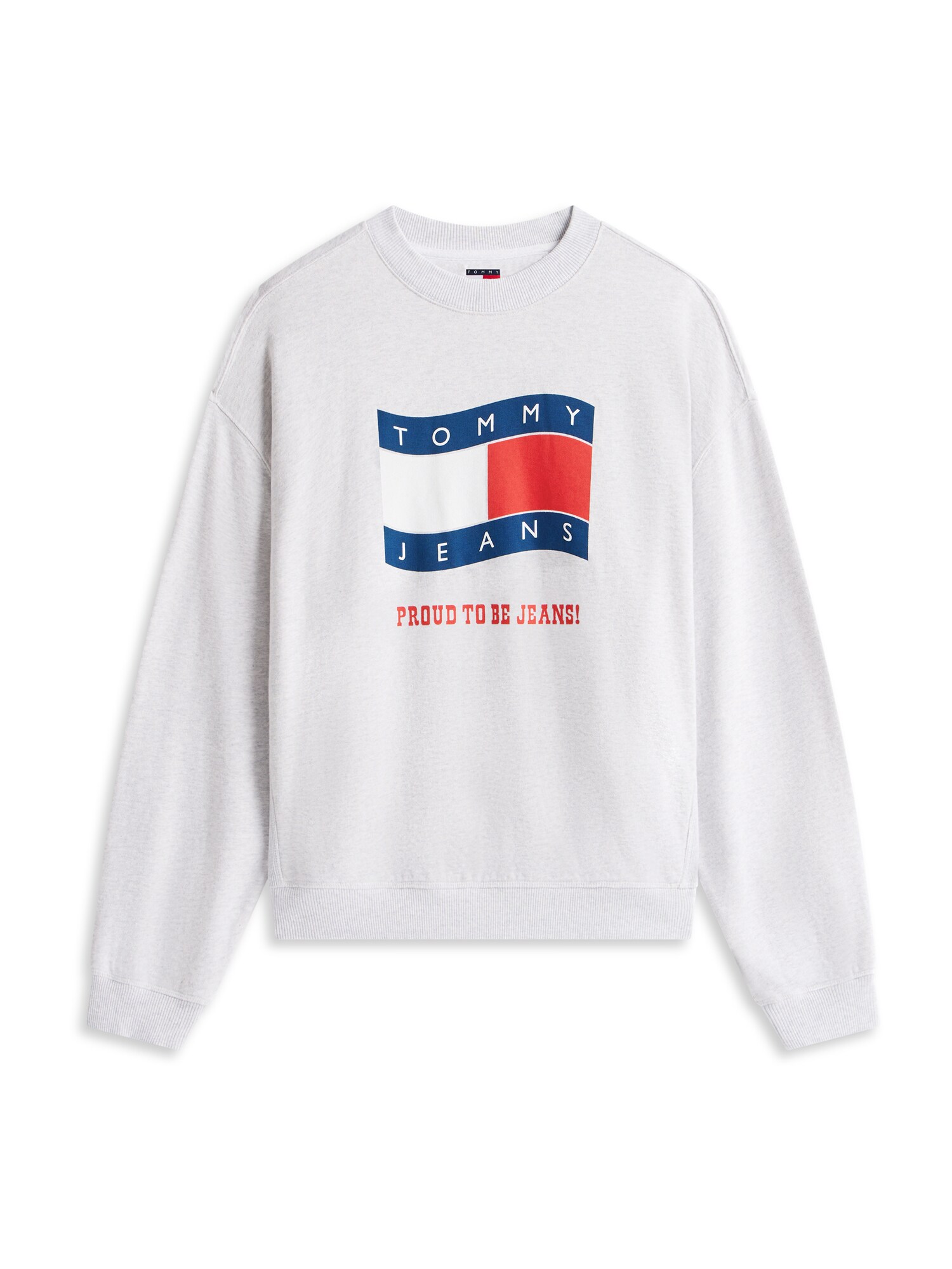 Tommy Jeans Bluză de molton 90S  albastru / gri / roșu / alb