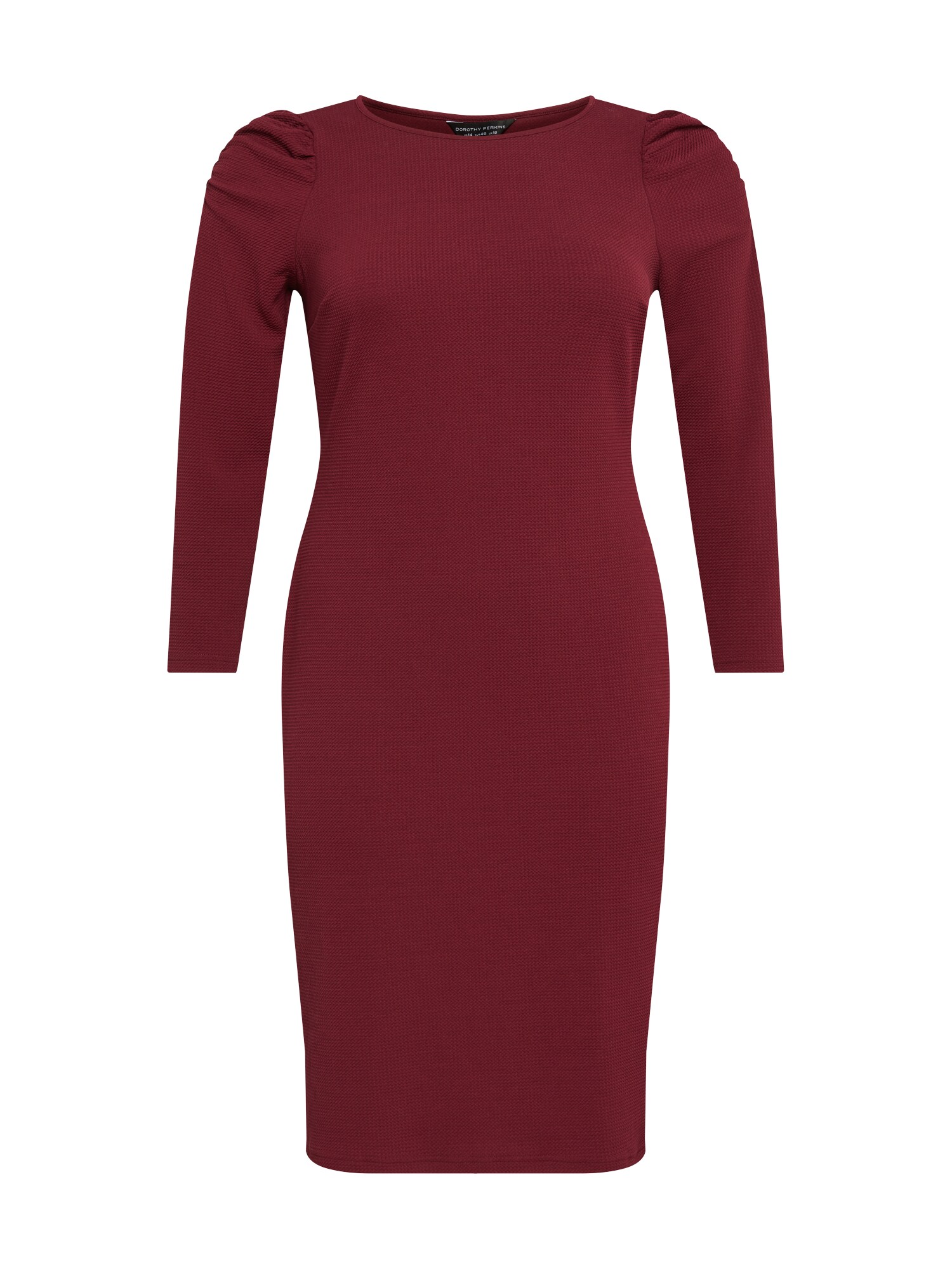 Dorothy Perkins Curve Suknelė 'BRY'  vyšninė spalva