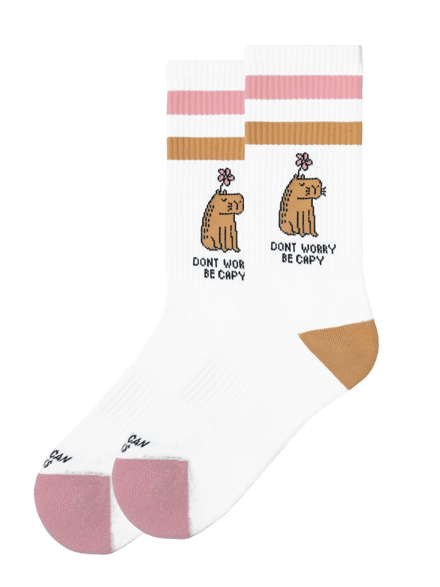 American Socks Calcetines 'Be Capy - Mid High'  blanco