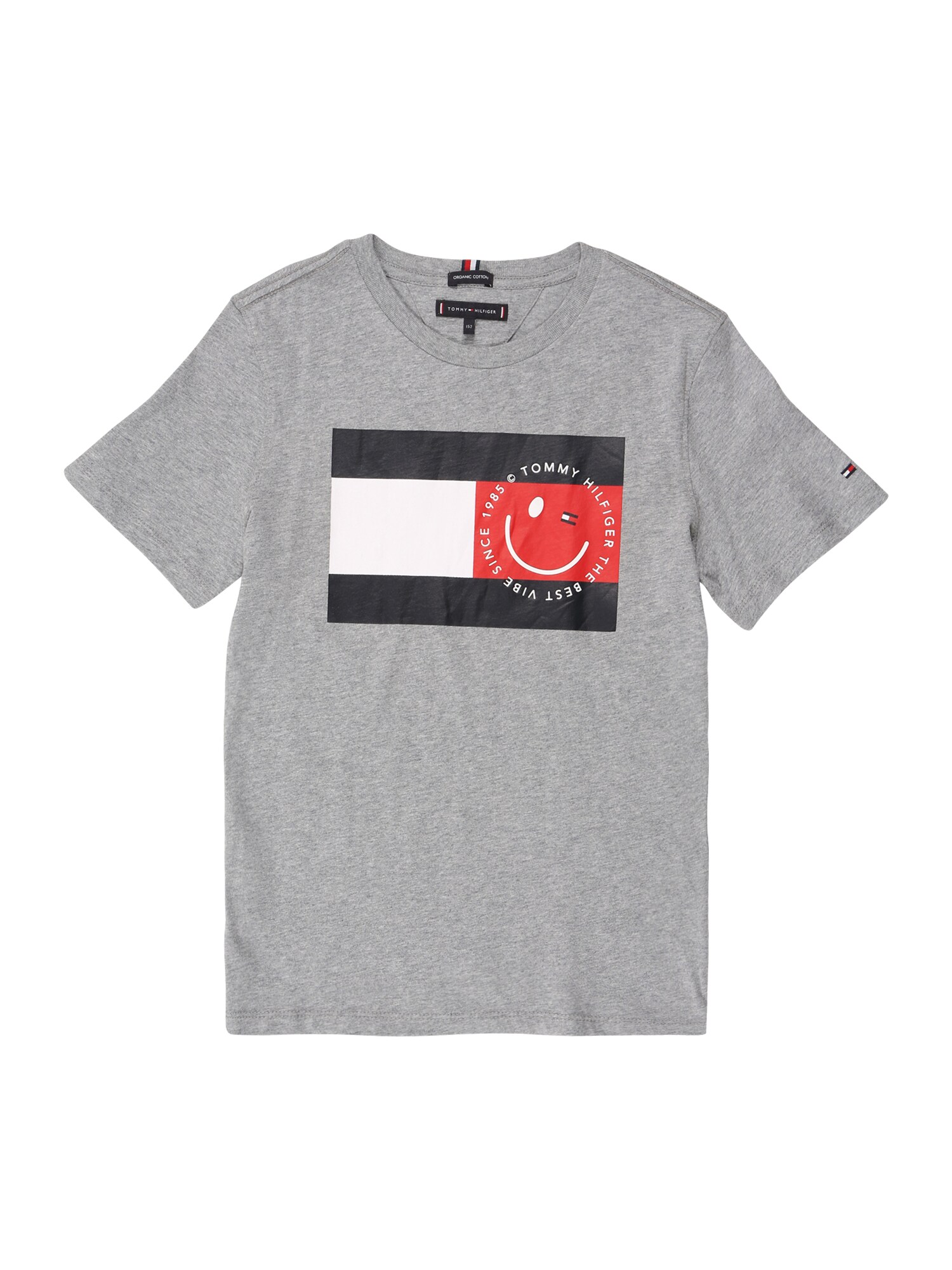 TOMMY HILFIGER Marškinėliai  margai pilka / nakties mėlyna / melionų spalva / balta