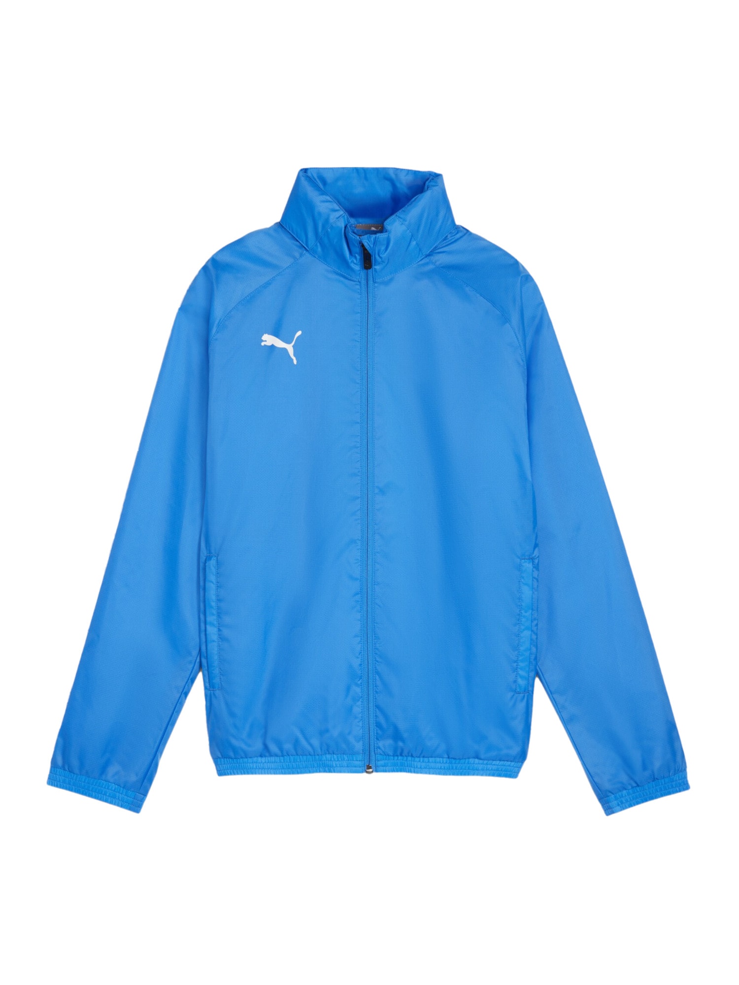 PUMA Geacă sport TeamGOAL  albastru regal