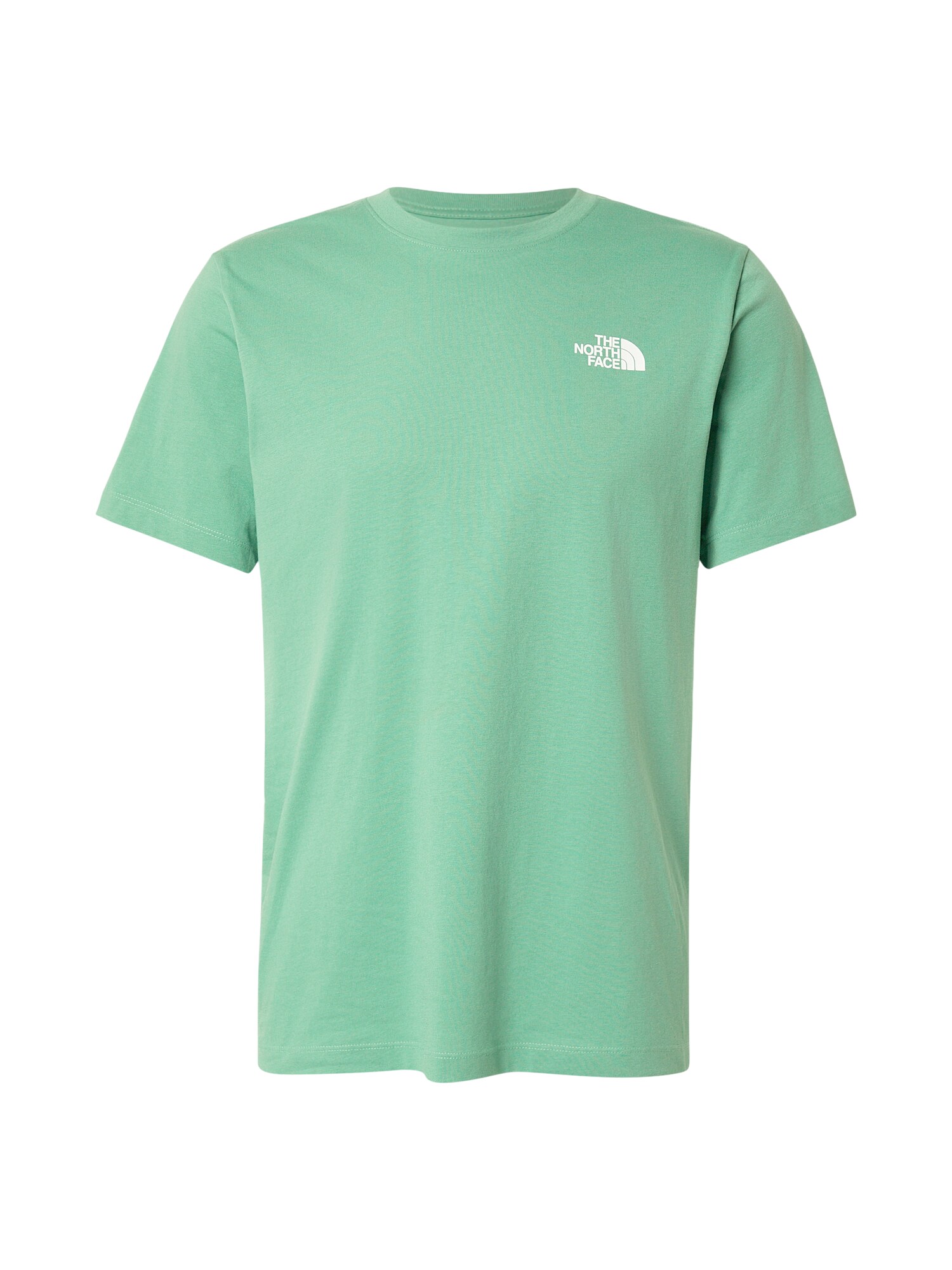 THE NORTH FACE Tricou EVOLUTION BOX NSE  verde / negru / alb