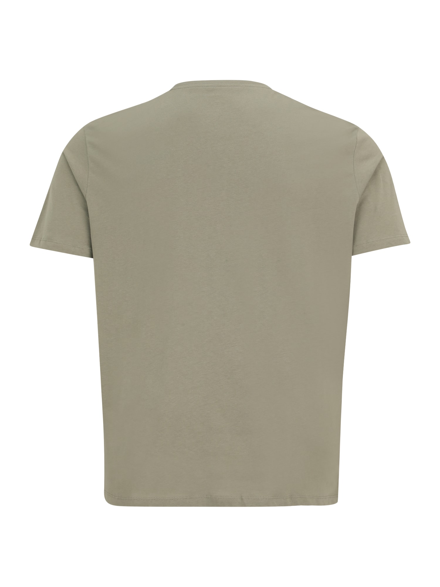 Jack & Jones Plus Póló  khaki / piszkosfehér termék 2. képe