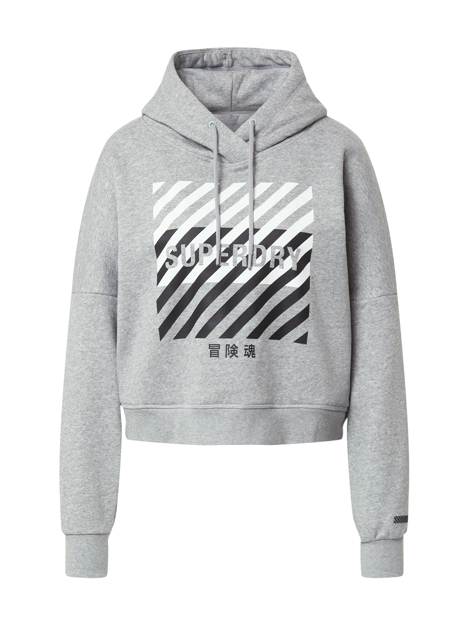 Superdry Sportinio tipo megztinis  pilka
