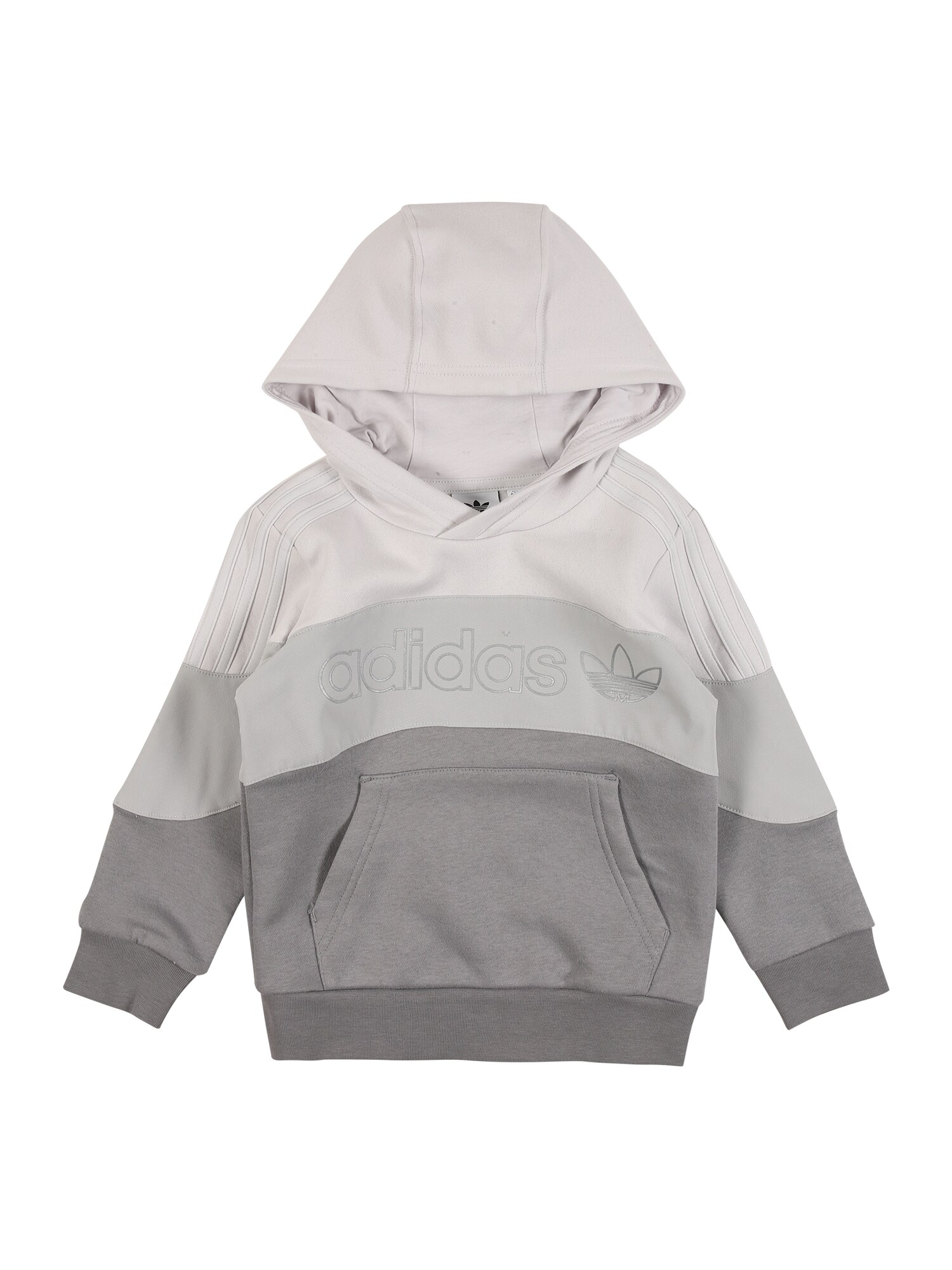 ADIDAS ORIGINALS Megztinis be užsegimo 'BX 2.0'  pilka / šviesiai pilka / balkšva