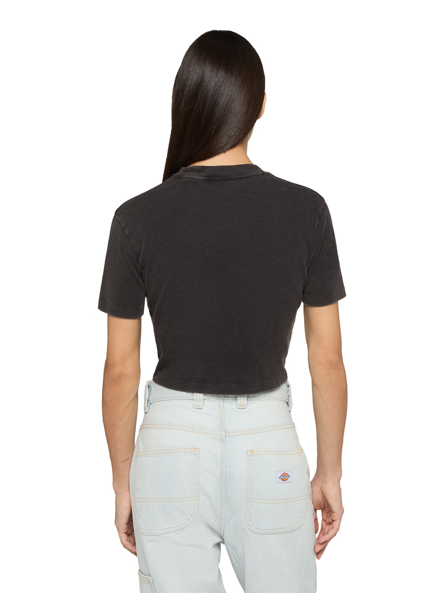 Thumbnail - DICKIES T-Shirt Plentywood