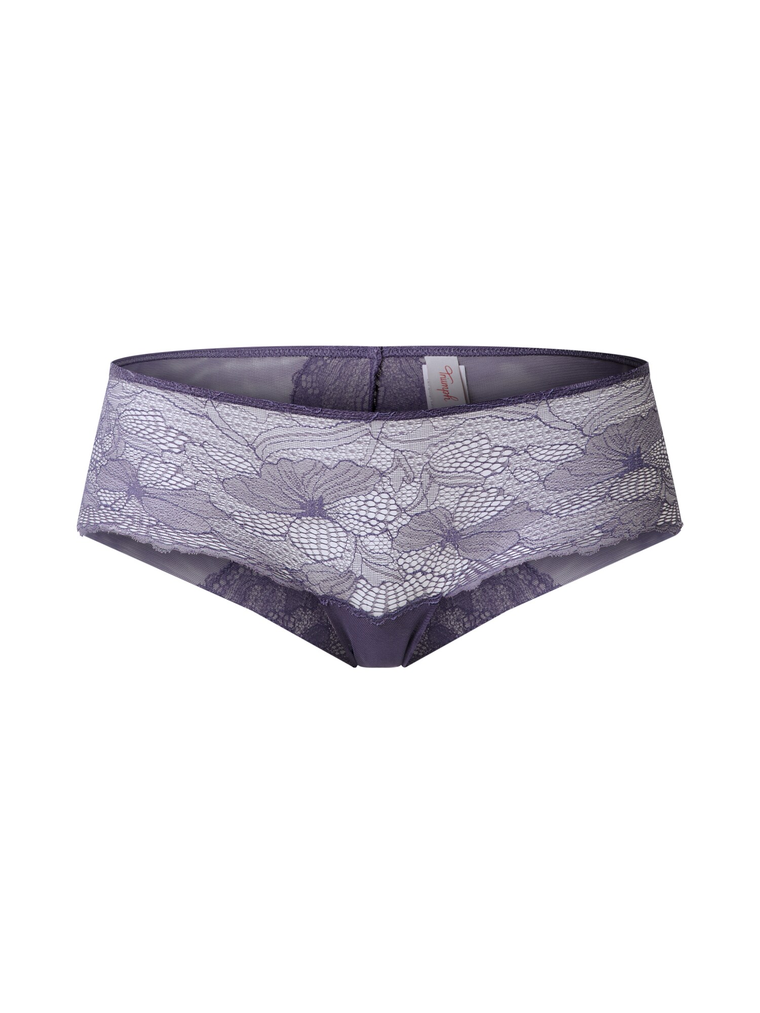 TRIUMPH Kelnaitės paaukštintu liemeniu  pilka / balta