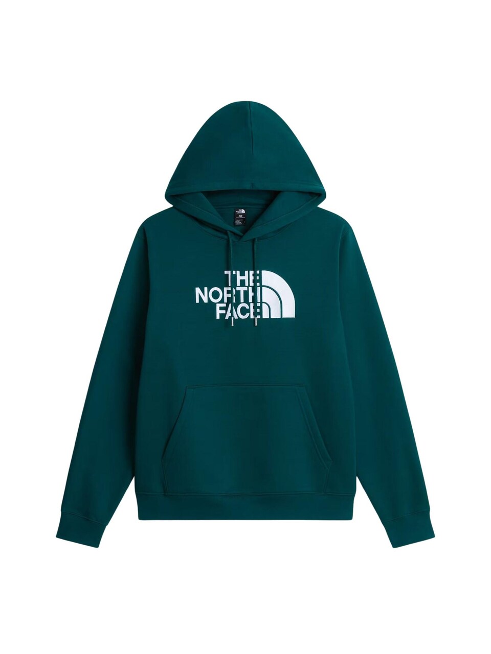 Sweatshirt 'THE NORTH FACE M ESS DP REG HODDIE FELPA'