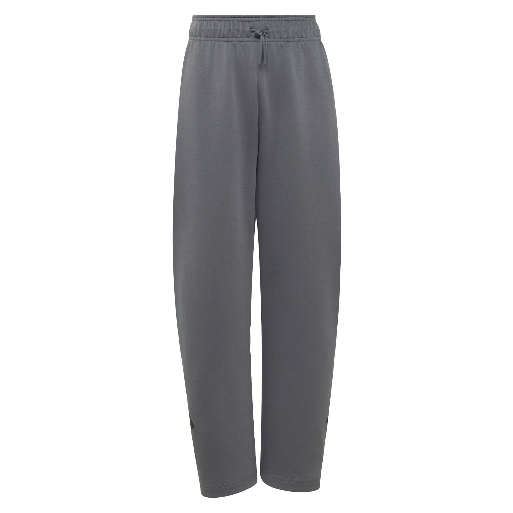ADIDAS SPORTSWEAR Sportske hlače 'Z.N.E.' siva