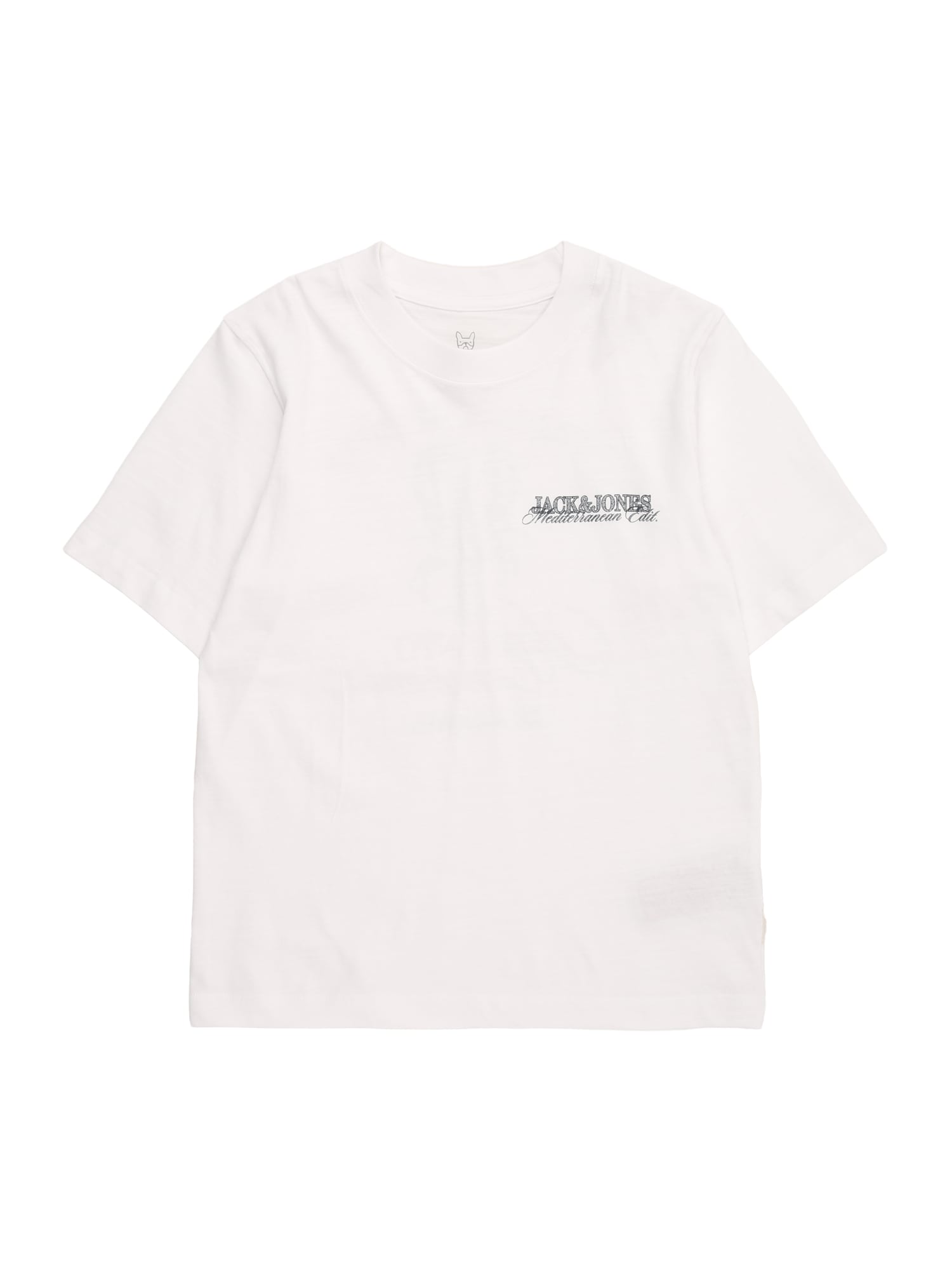 Jack & Jones Junior Majica 'JORCASSIS SKETCH'  antracit / vinsko rdeča / bela