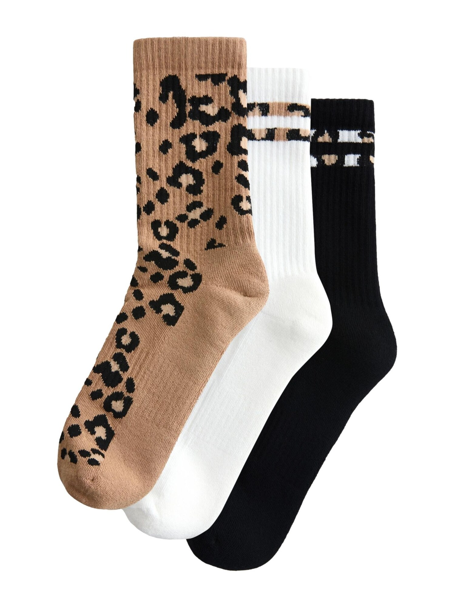 Next Calcetines  beige / marrón claro / negro / blanco