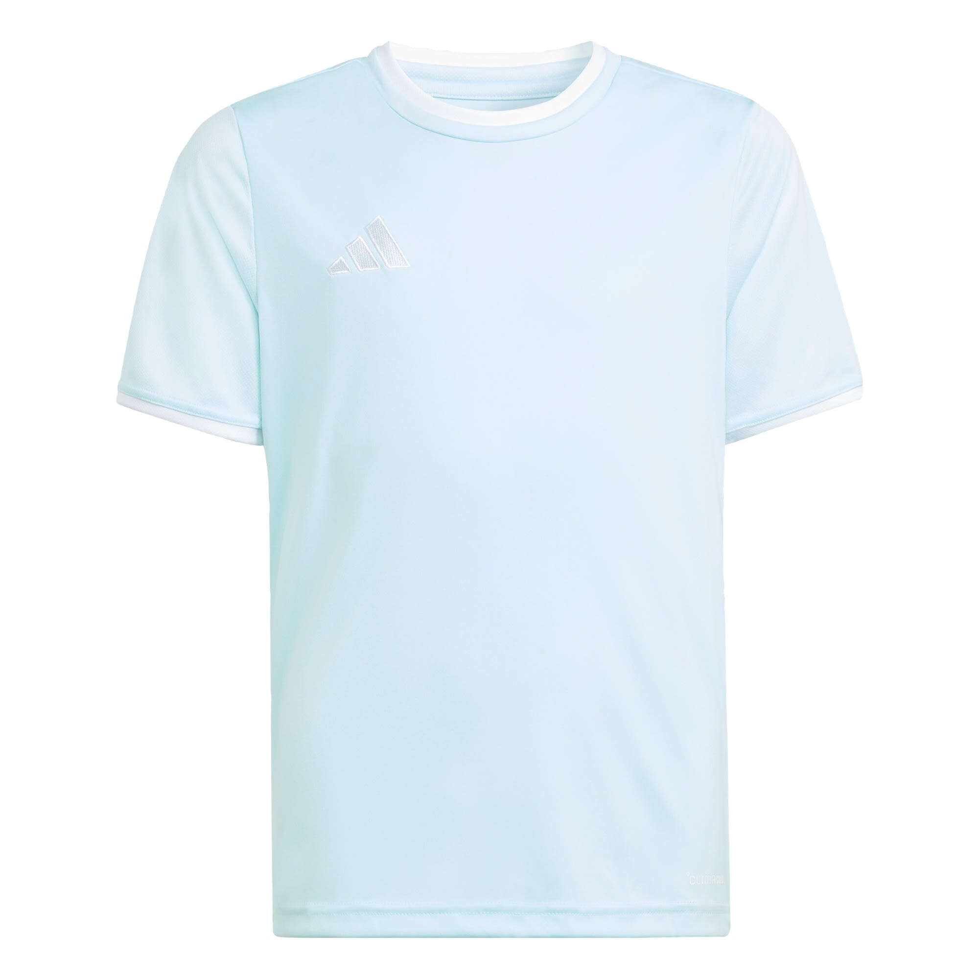 ADIDAS PERFORMANCE Tricou funcțional 'Entrada26'  albastru deschis / alb