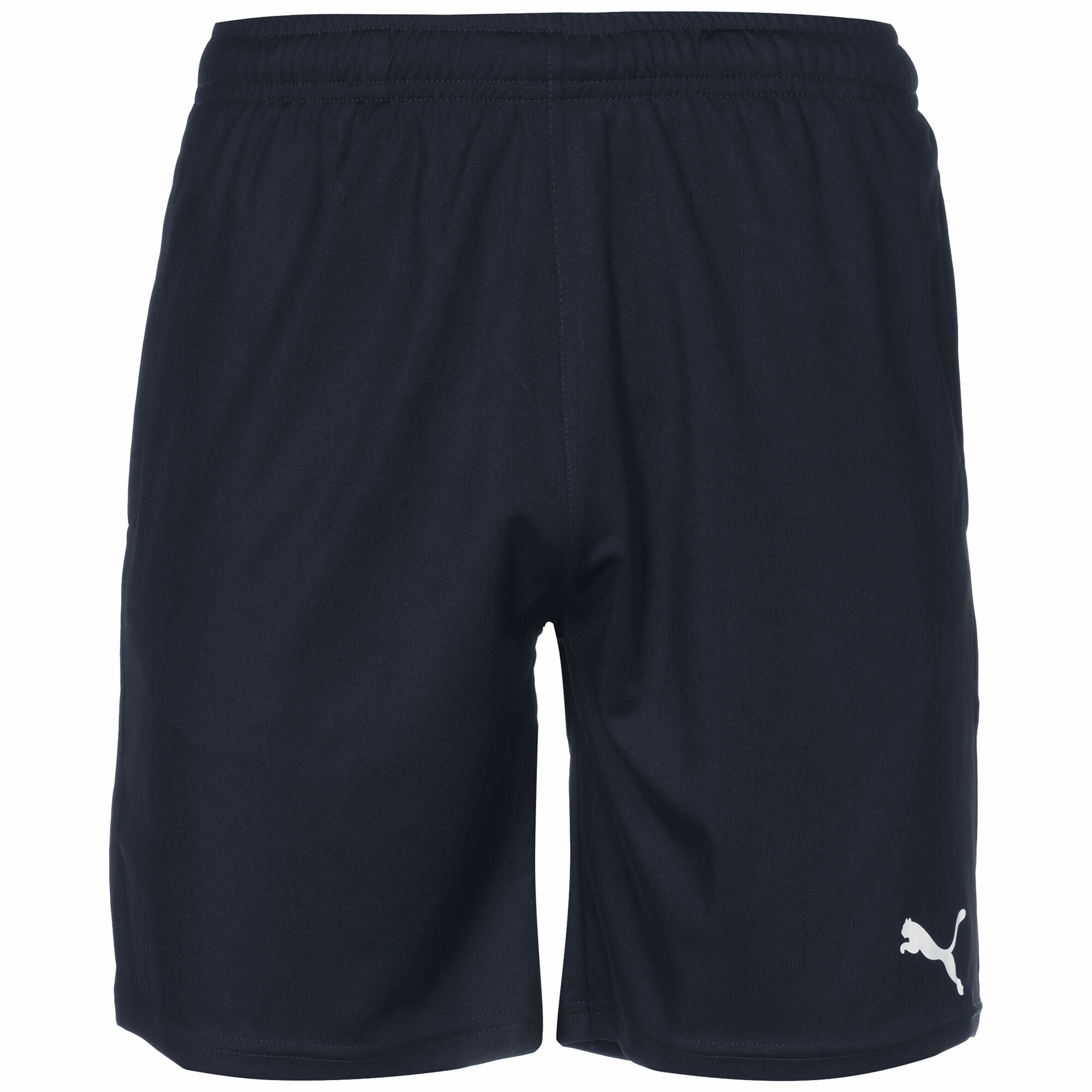 PUMA Pantaloni sport Team Rise  bleumarin / gri deschis