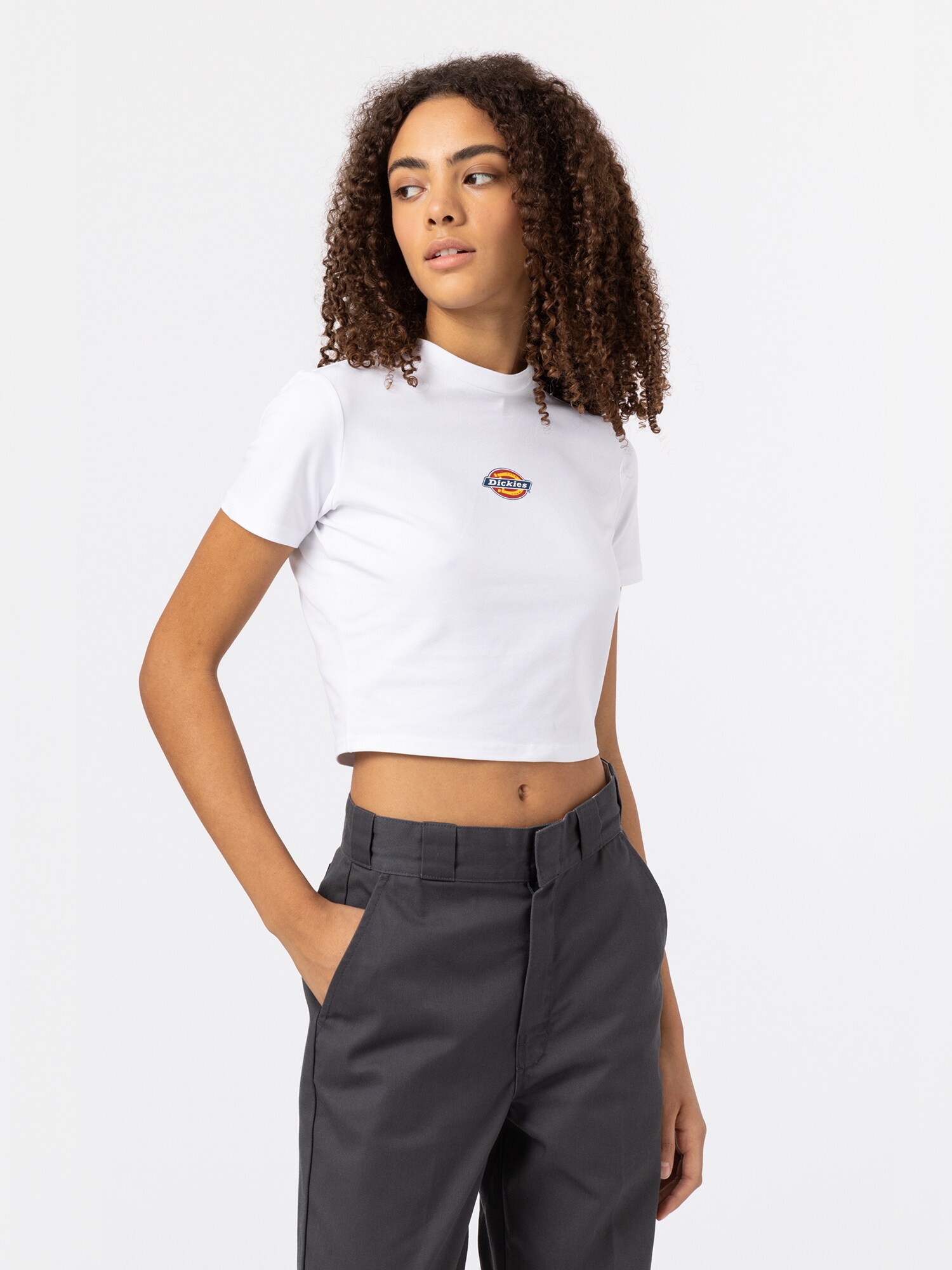 DICKIES Tricou MAPLE VALLEY  albastru închis / galben / roșu / alb