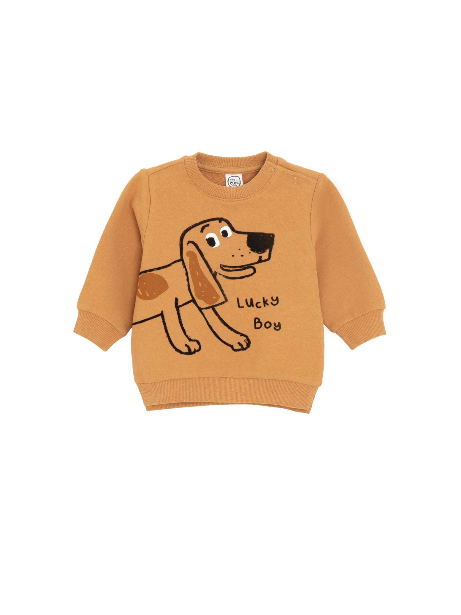 Cool Club Bluză de molton  maro / negru / alb