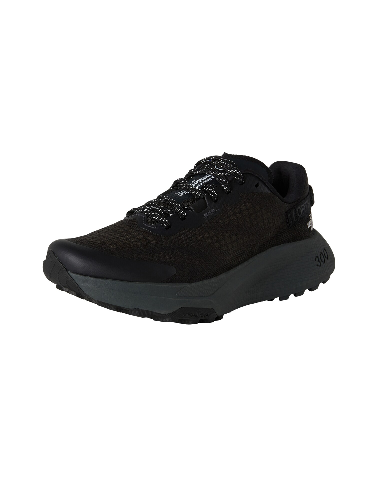 THE NORTH FACE Pantofi Altamesa 300  negru / alb