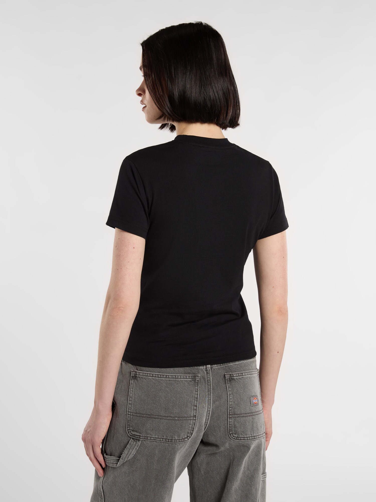 Thumbnail - DICKIES T-Shirt Williston