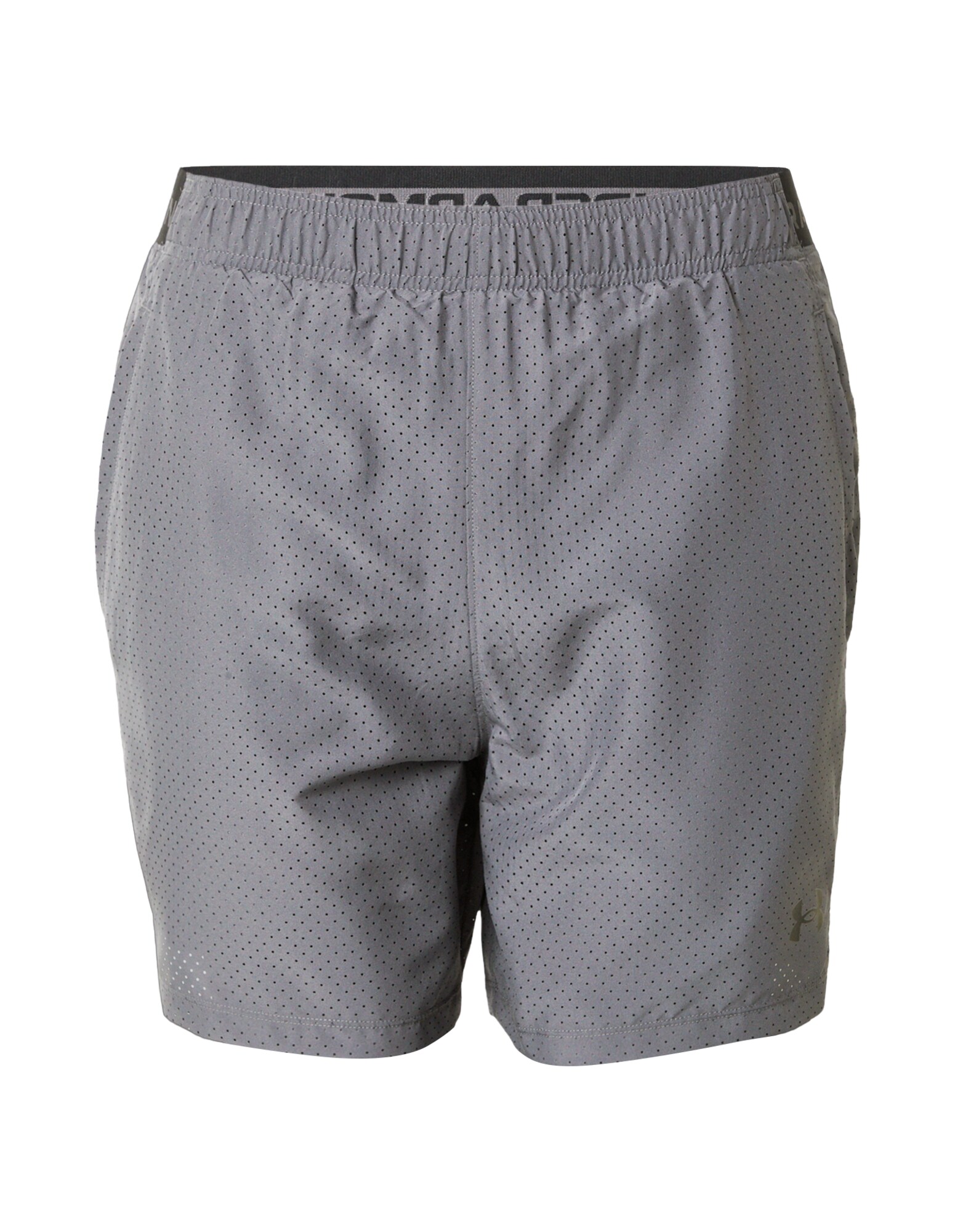UNDER ARMOUR Športové nohavice 'Vanish 2.0'  tmavosivá