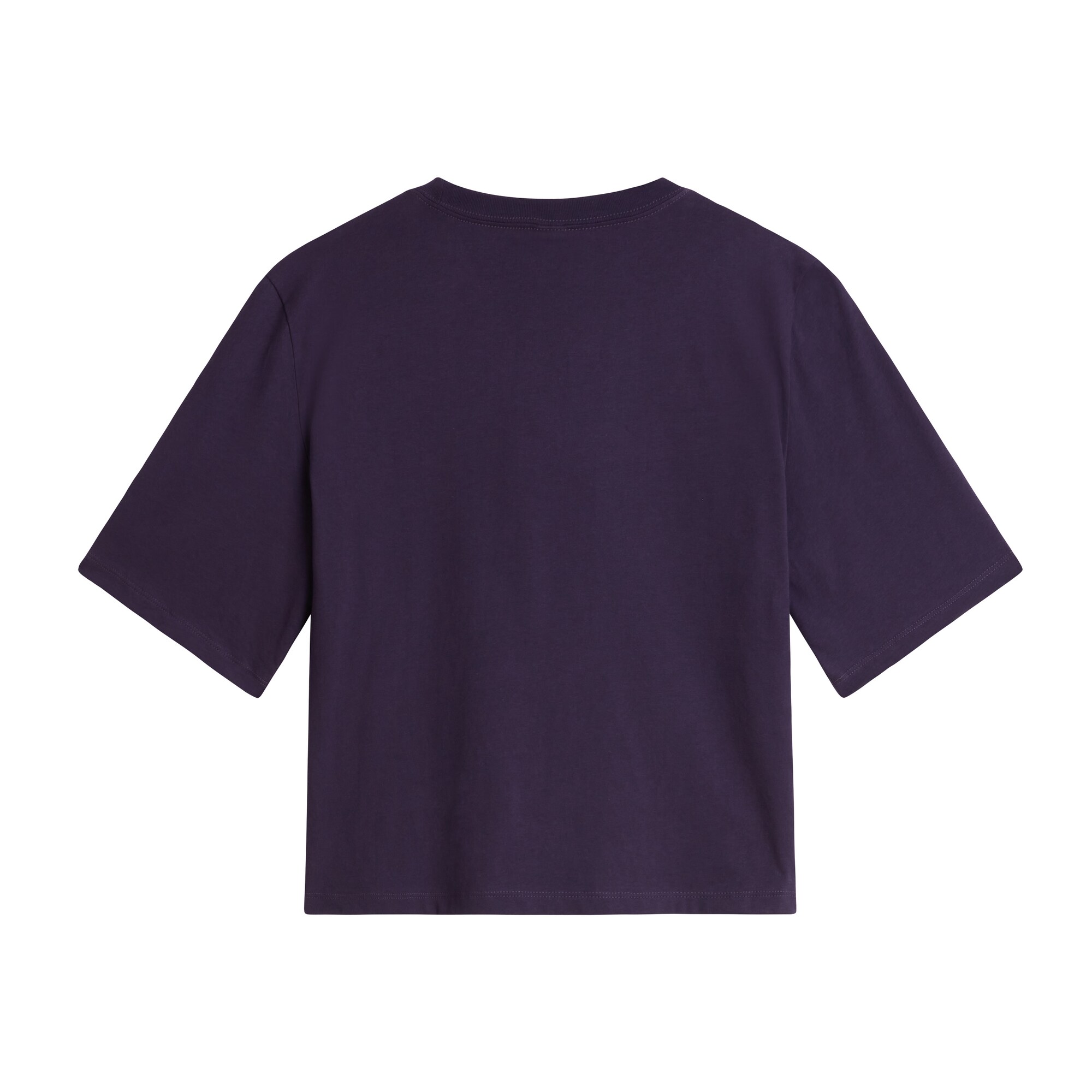 THE NORTH FACE Camiseta 'TNF Essential Simple Dome'  berenjena – imagen 4