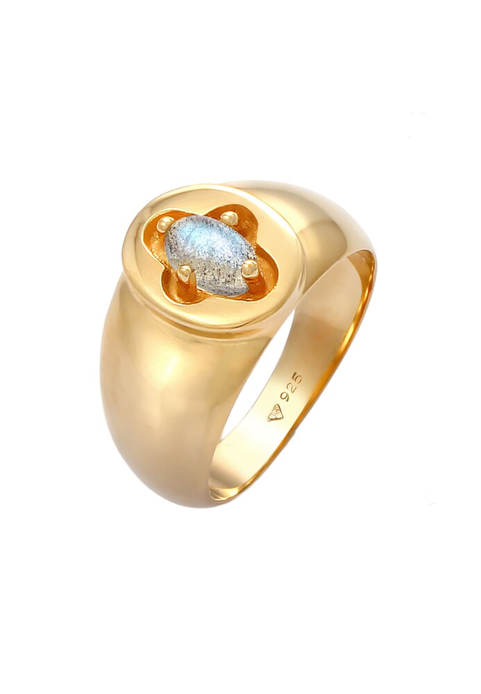 ELLI PREMIUM Ring Siegelring Damen Größe 54 gold